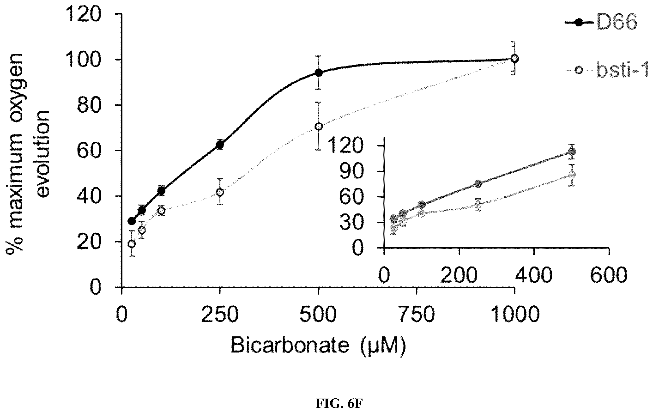 Patent US12378568 Figure 17 – Green algal bestrophin bicarbonate transporters