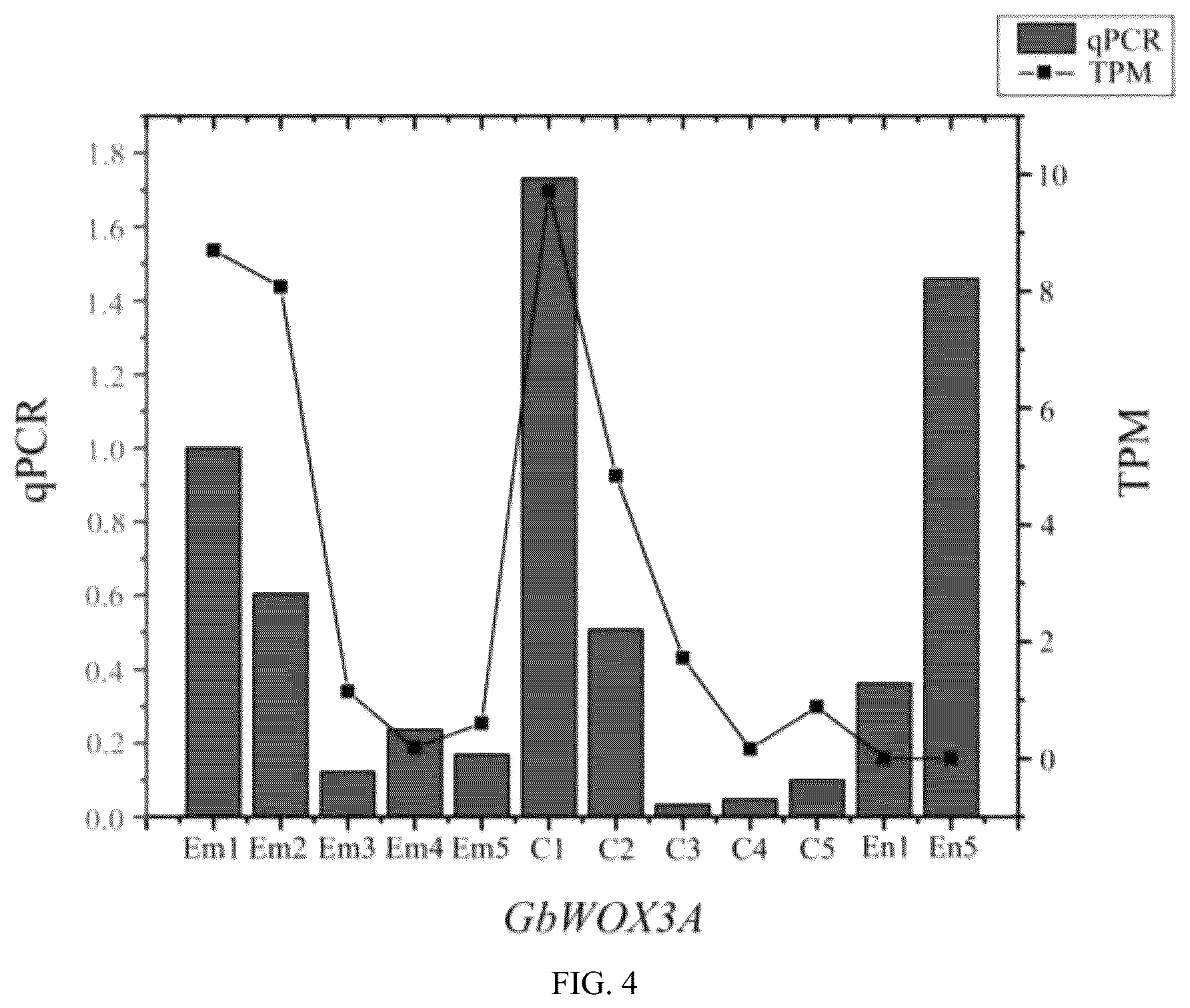 Patent US12378569 Figure 4 – GBWOX3A gene and application thereof in plant tissue culture