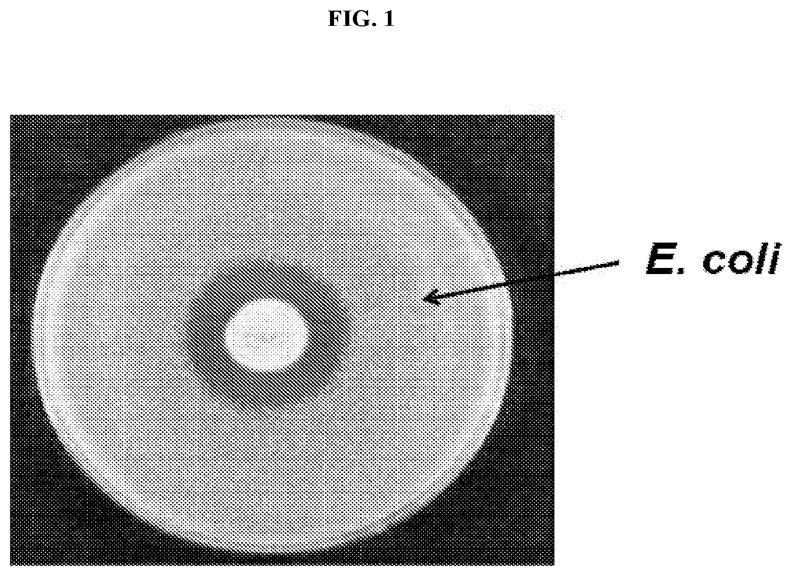 Patent US12378571 Figure 1 – Use of glyphosate for disease suppression and yield enhancement in soybean