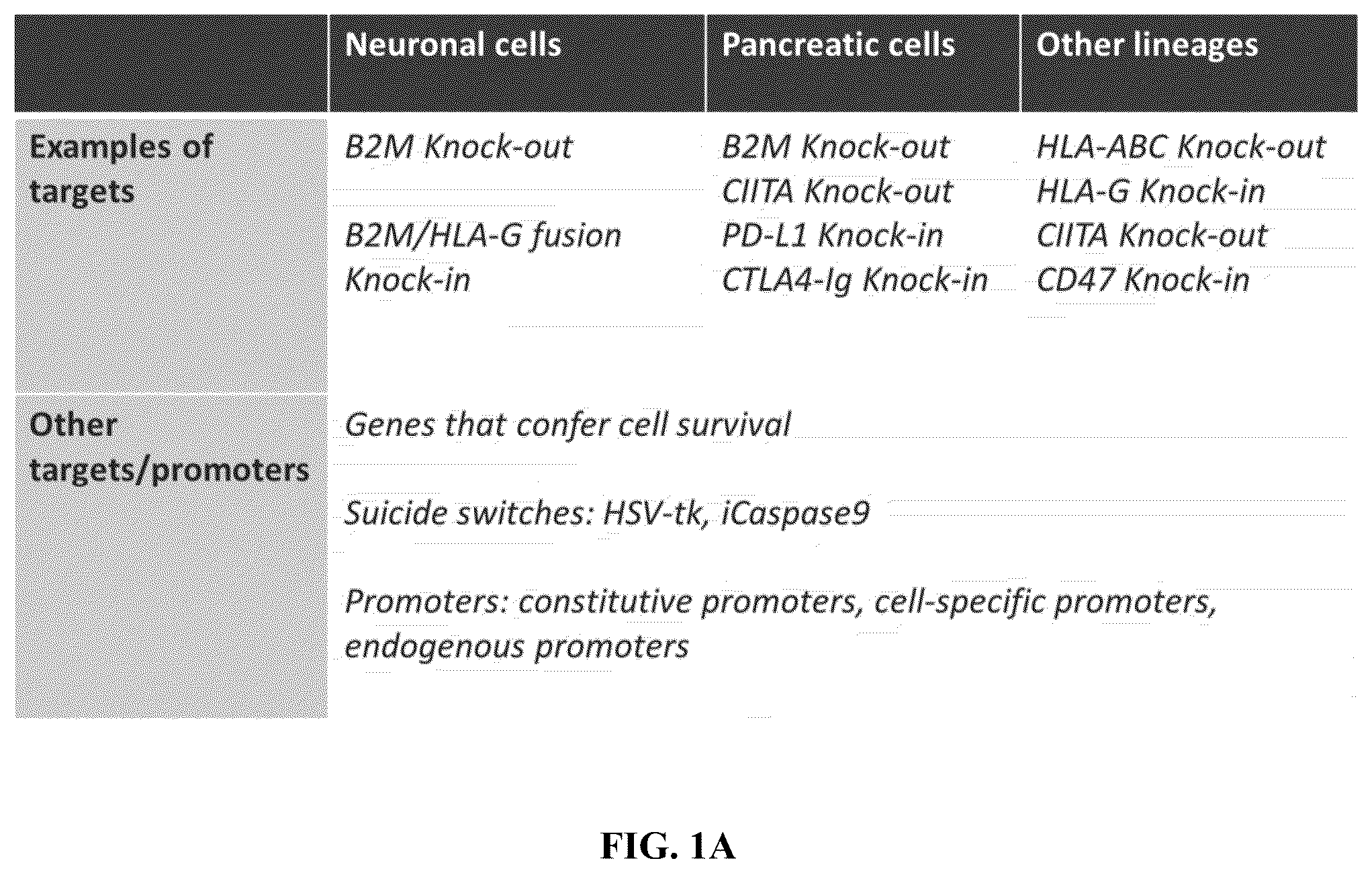 Patent US12378572 Figure 1 – Universal donor cells