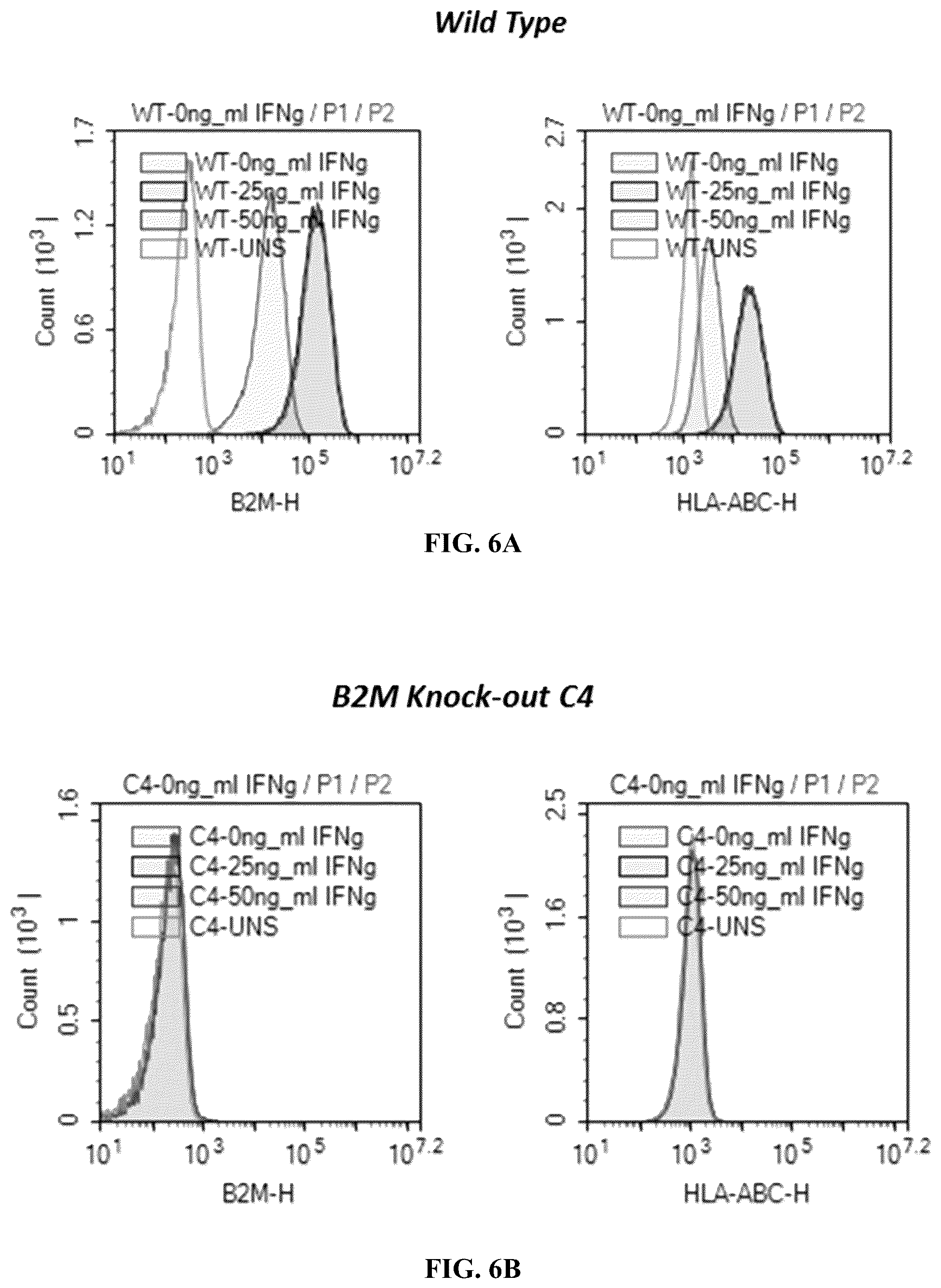 Patent US12378572 Figure 7 – Universal donor cells