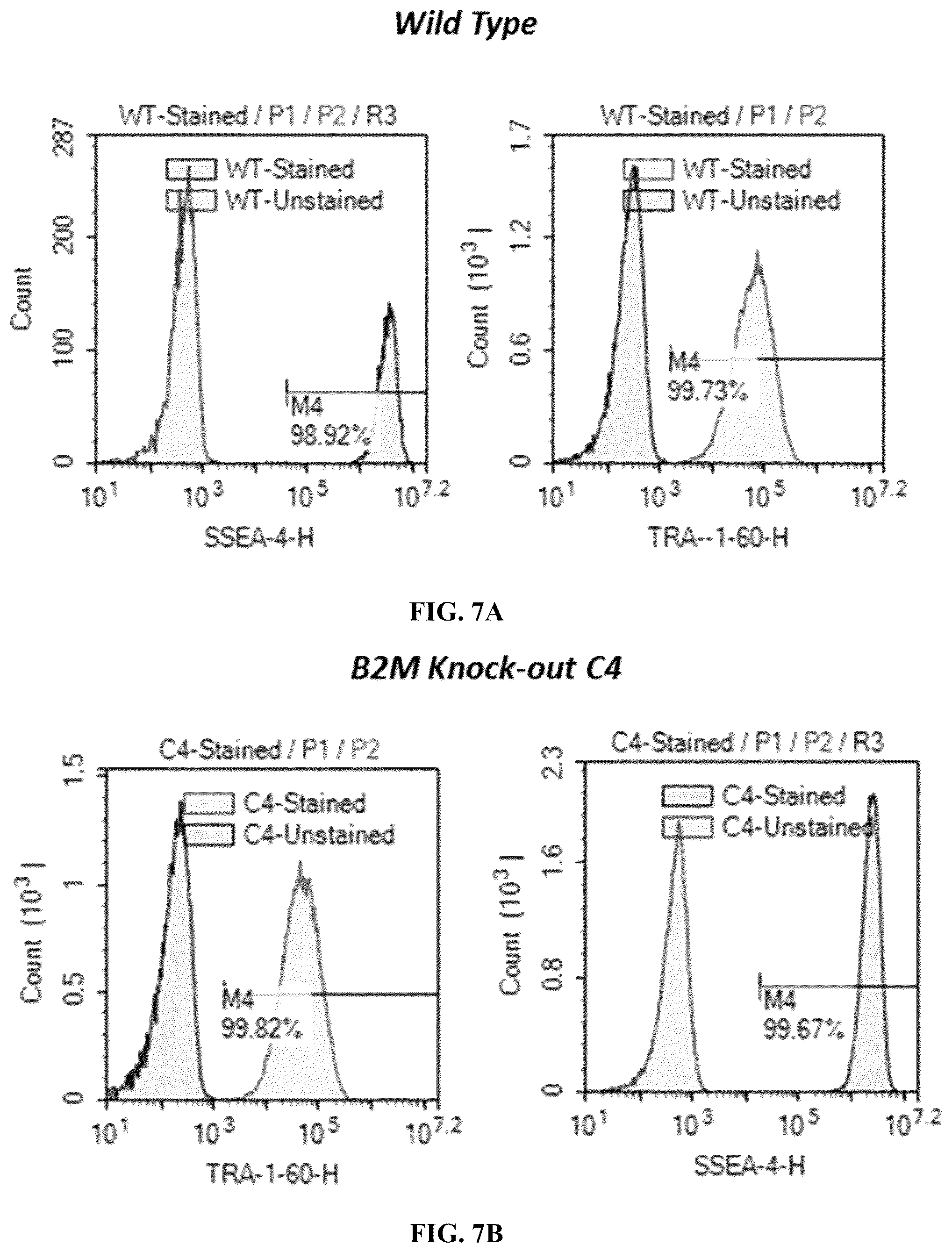 Patent US12378572 Figure 9 – Universal donor cells