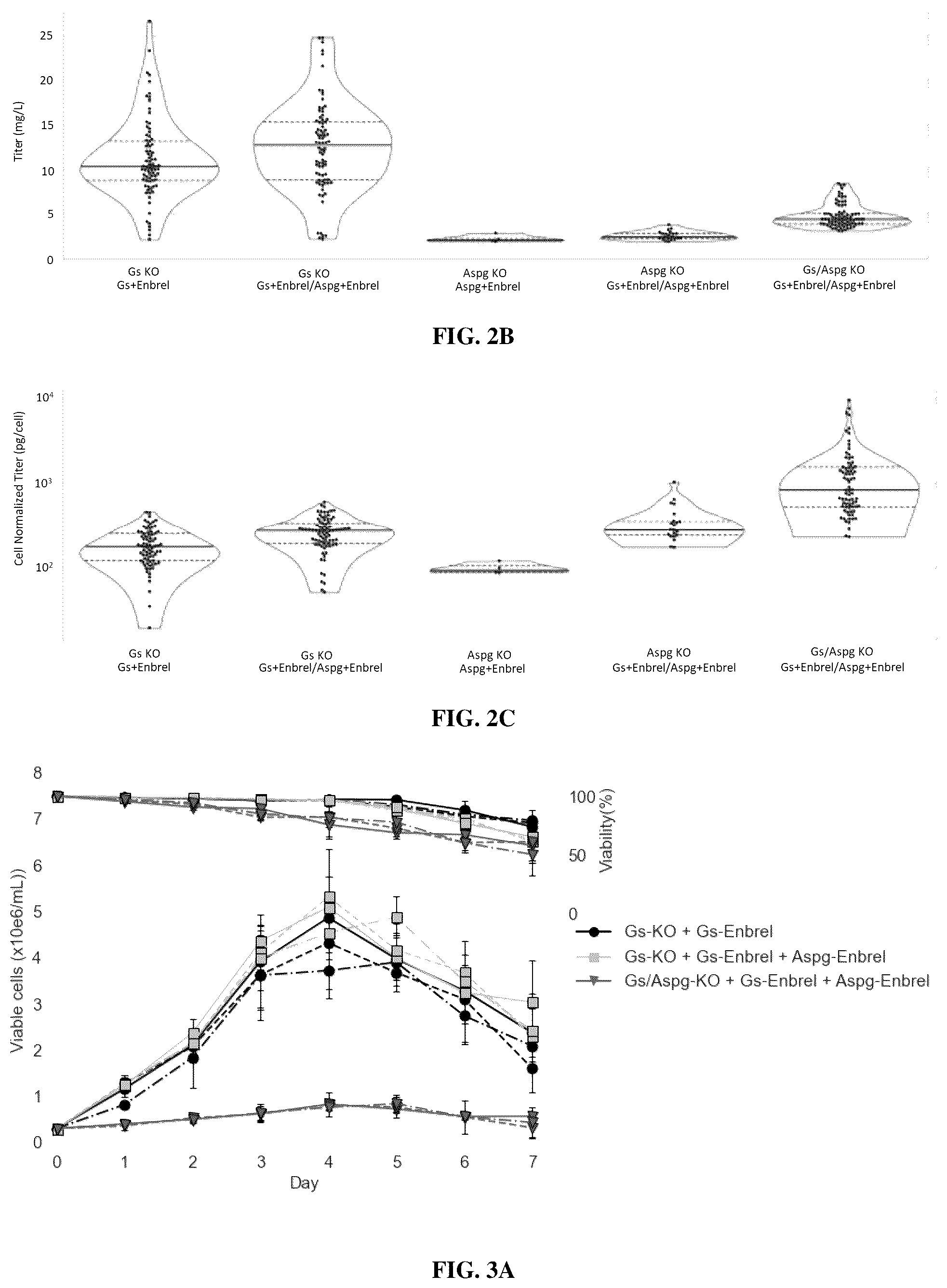 Patent US12378573 Figure 2 – Asparaginase based selection system for heterologous protein expression in mammalian cells