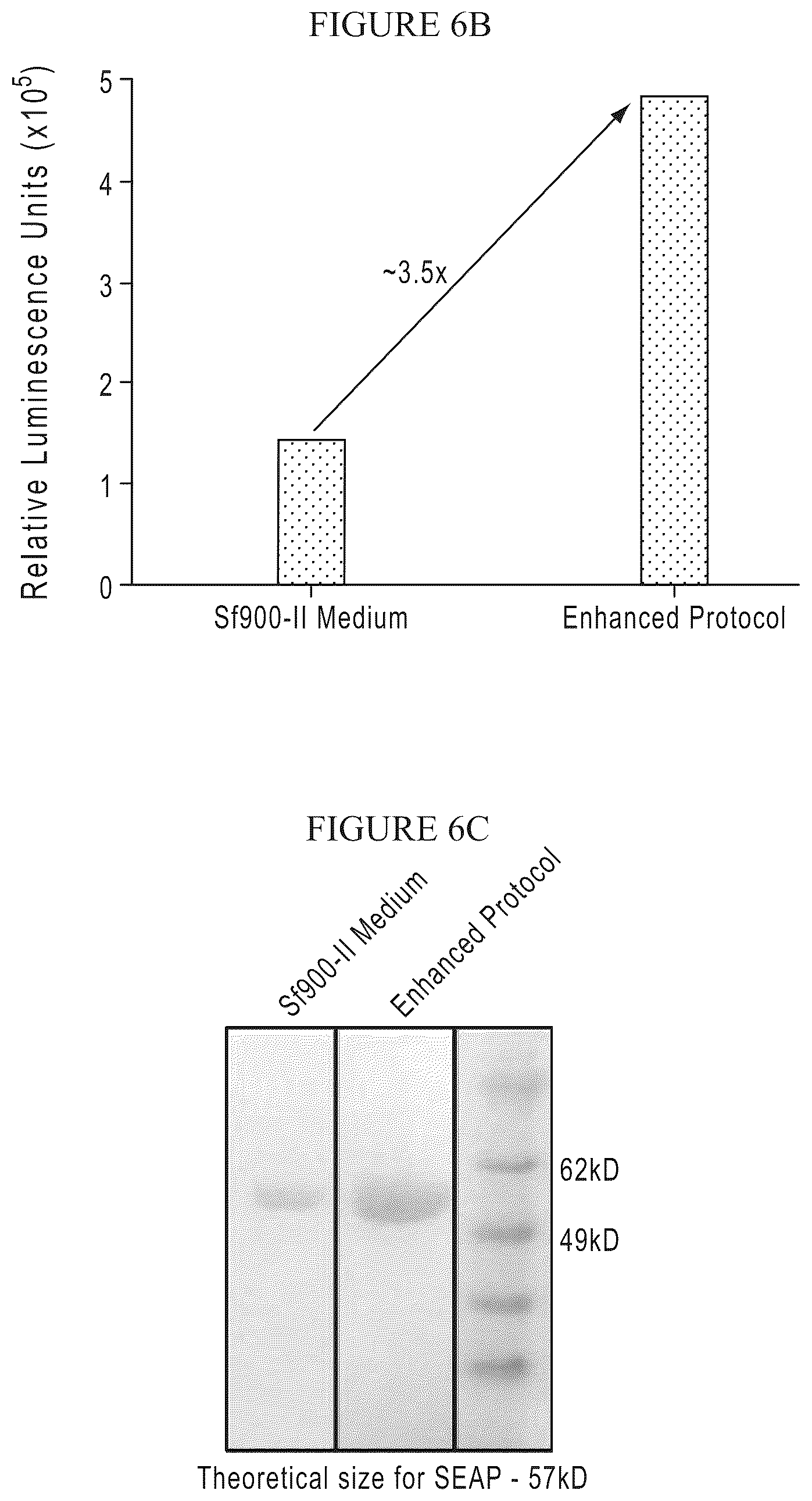 Patent US12378575 Figure 9 – Chemically-defined baculovirus expression system
