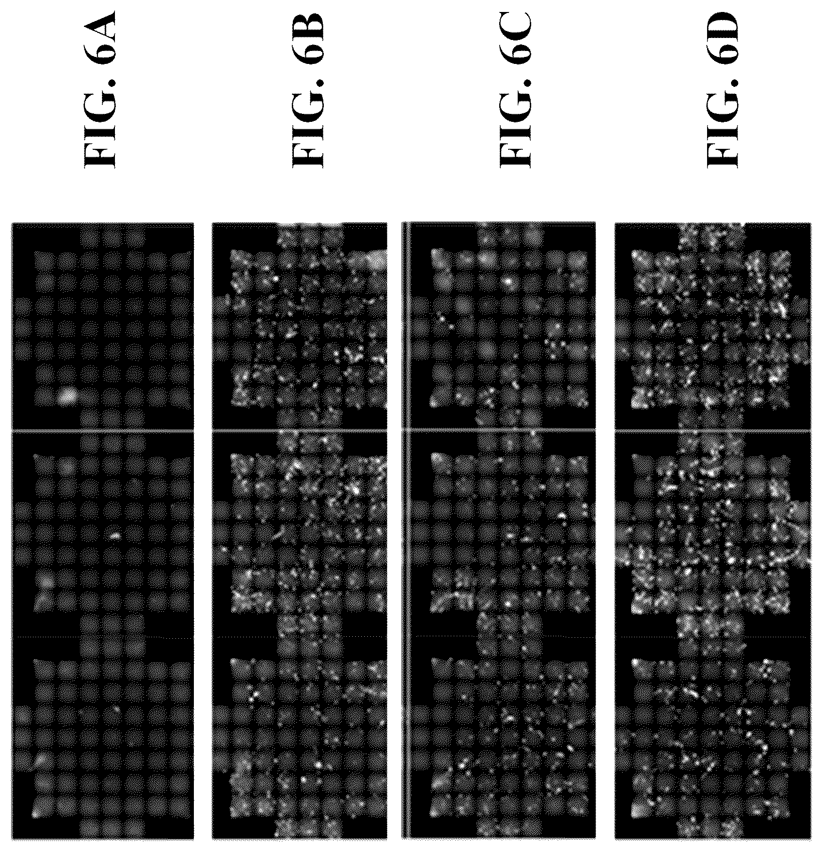 Patent US12378576 Figure 9 – Gene therapy for CNS degeneration
