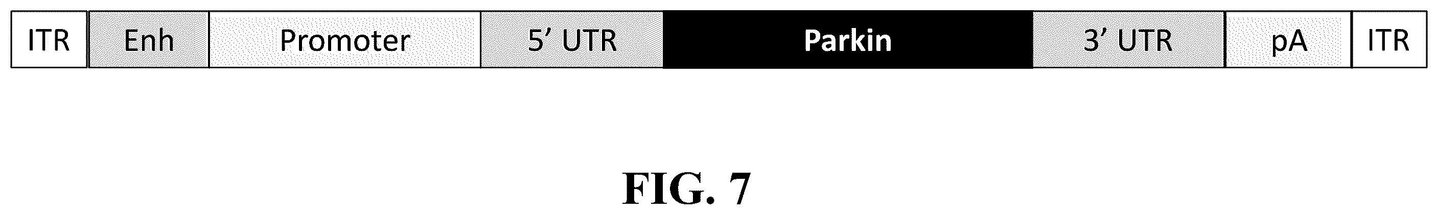 Patent US12378576 Figure 11 – Gene therapy for CNS degeneration
