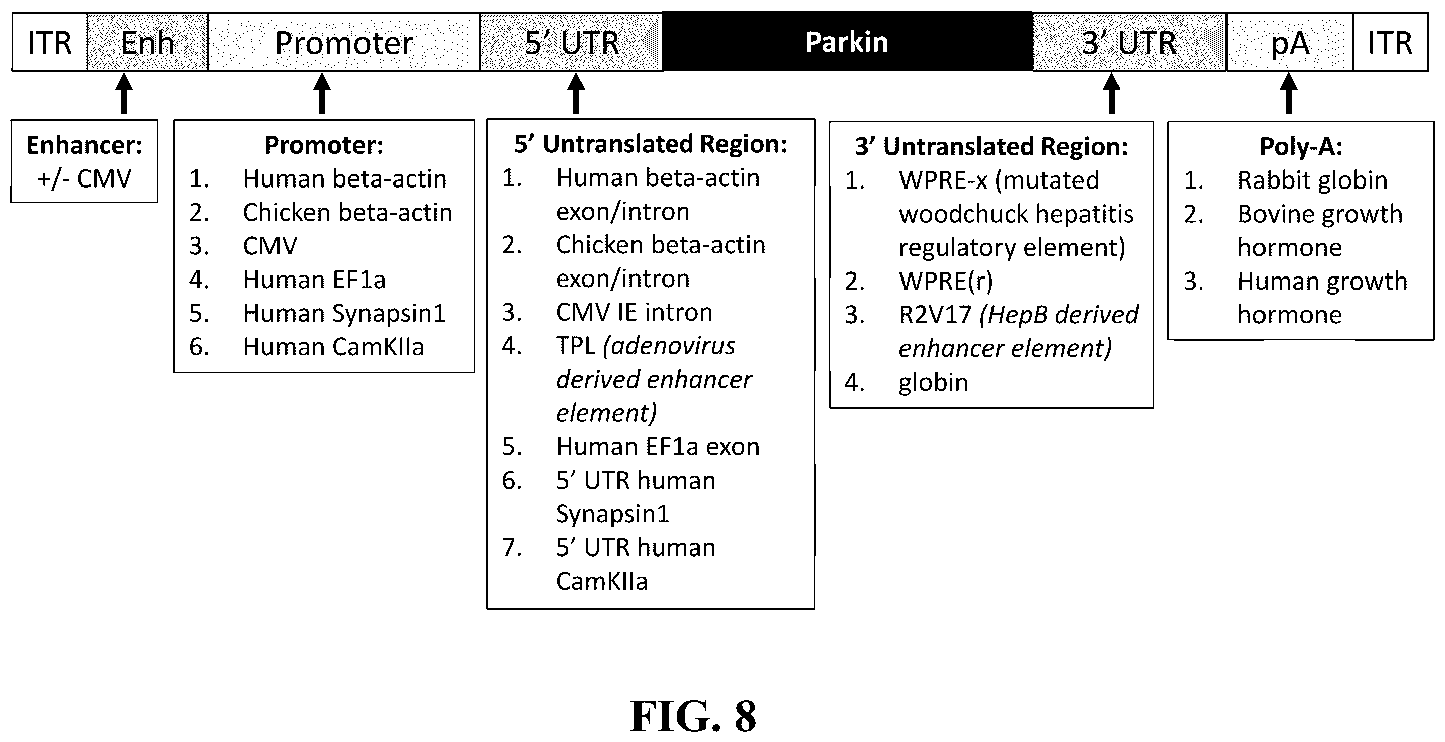 Patent US12378576 Figure 12 – Gene therapy for CNS degeneration
