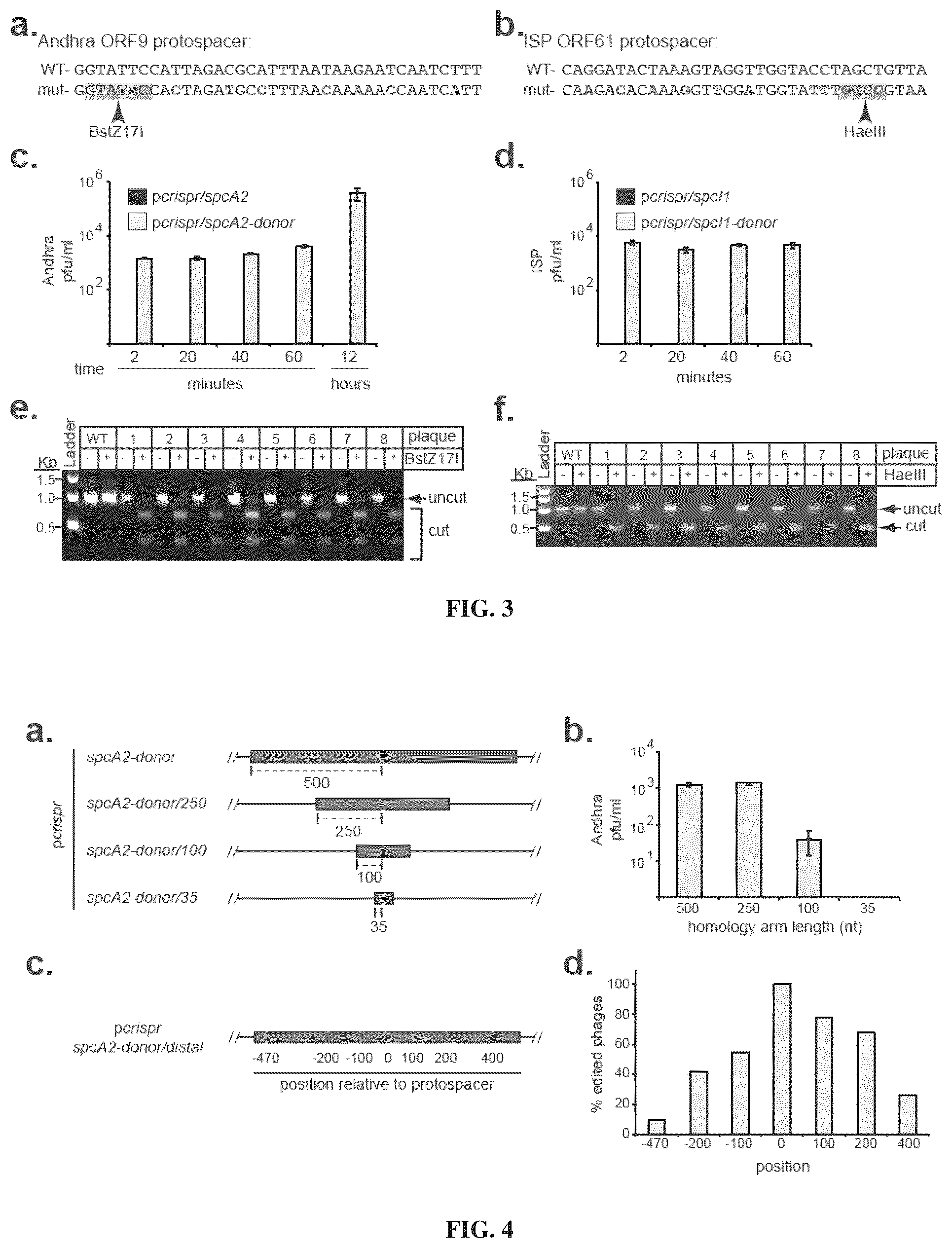 Patent US12378577 Figure 3 – Crispr-CAS10 systems and methods for phage genome editing