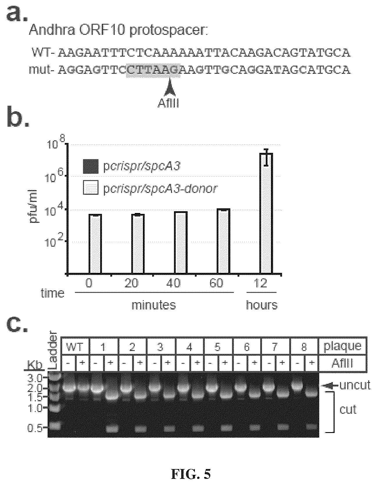 Patent US12378577 Figure 4 – Crispr-CAS10 systems and methods for phage genome editing