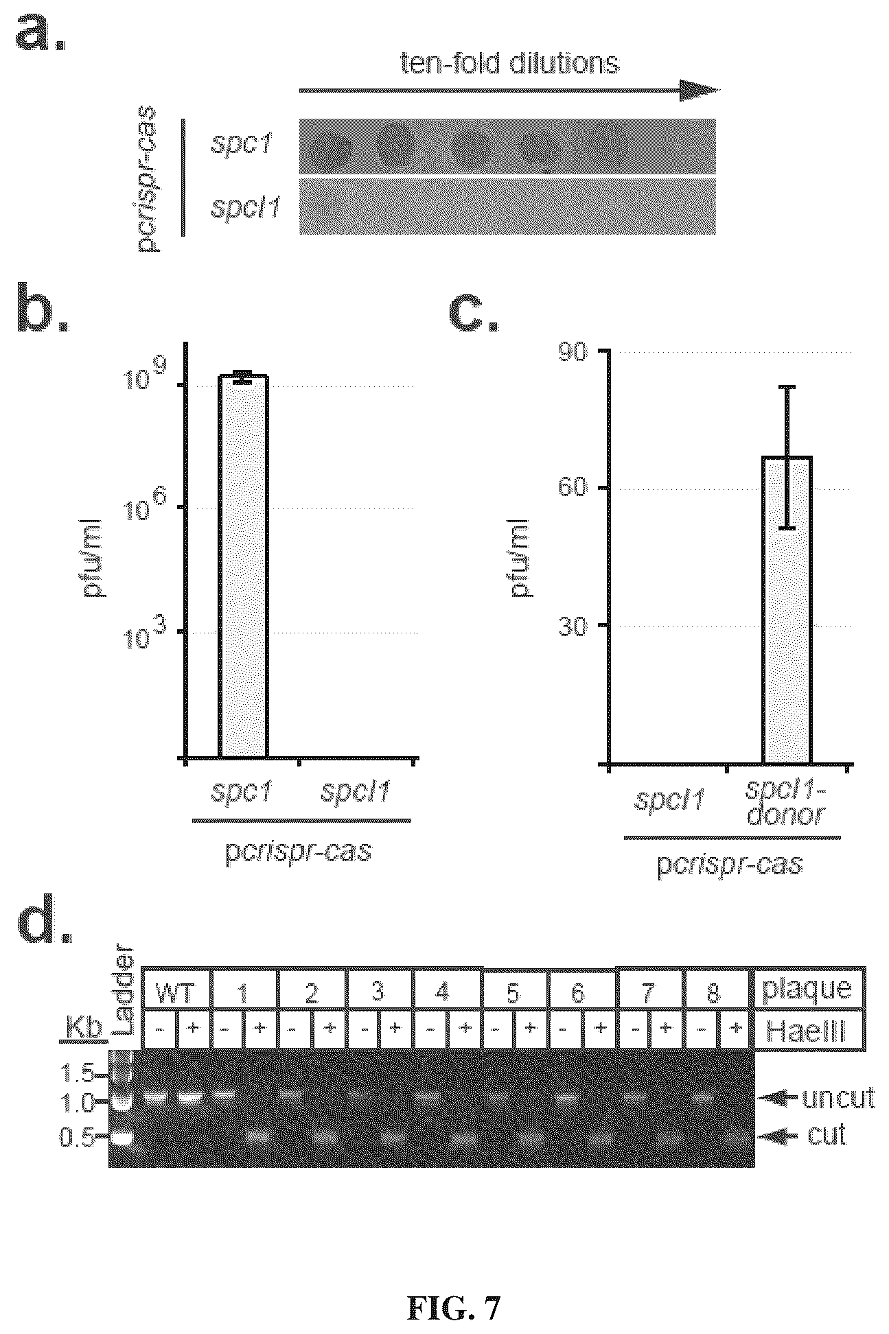Patent US12378577 Figure 6 – Crispr-CAS10 systems and methods for phage genome editing