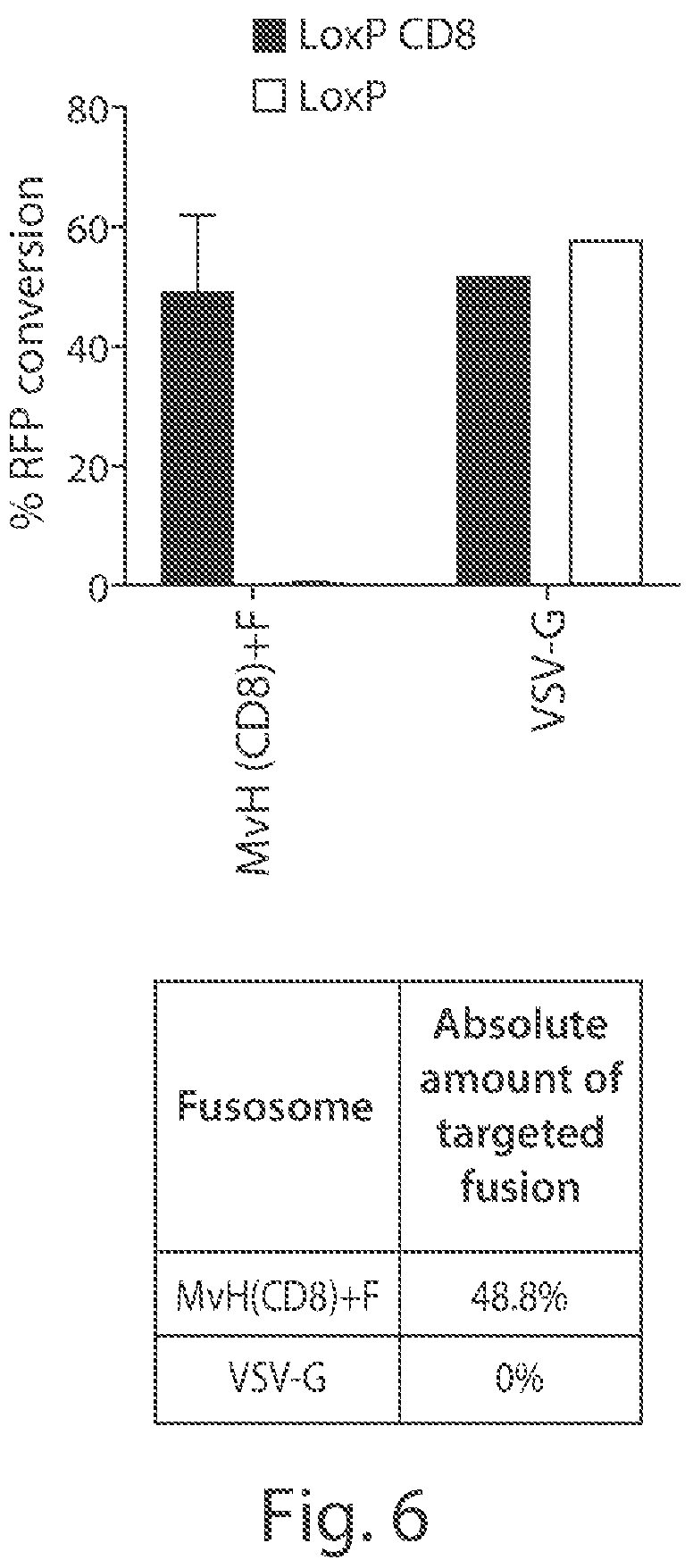 Patent US12378578 Figure 6 – Fusosome compositions and uses thereof
