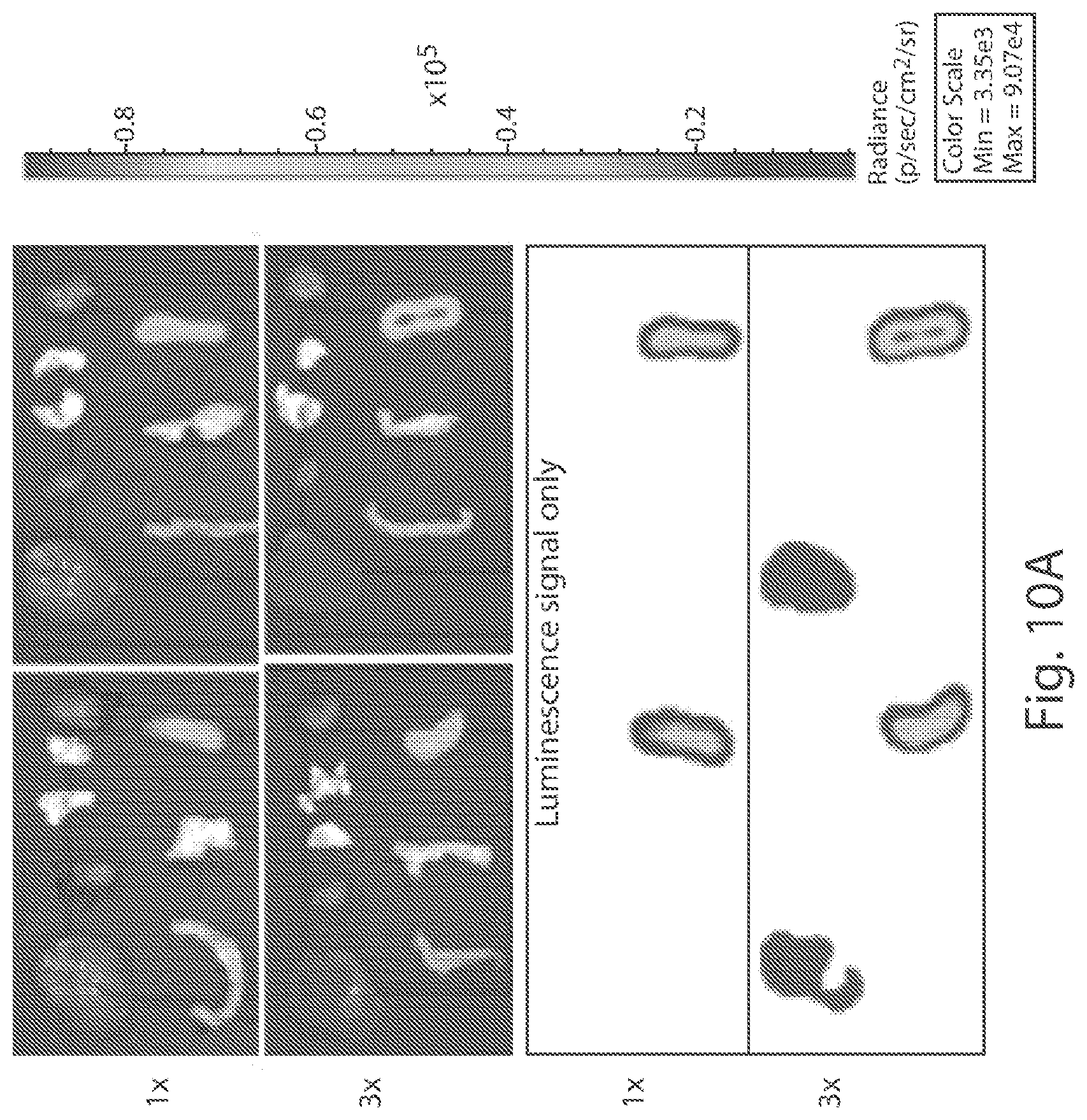 Patent US12378578 Figure 11 – Fusosome compositions and uses thereof