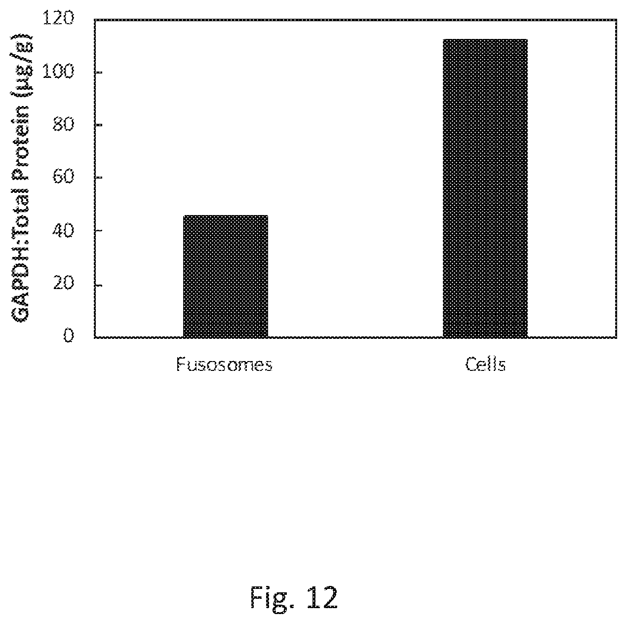 Patent US12378578 Figure 14 – Fusosome compositions and uses thereof