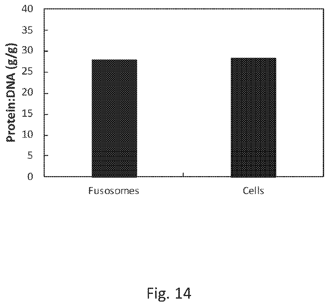 Patent US12378578 Figure 16 – Fusosome compositions and uses thereof
