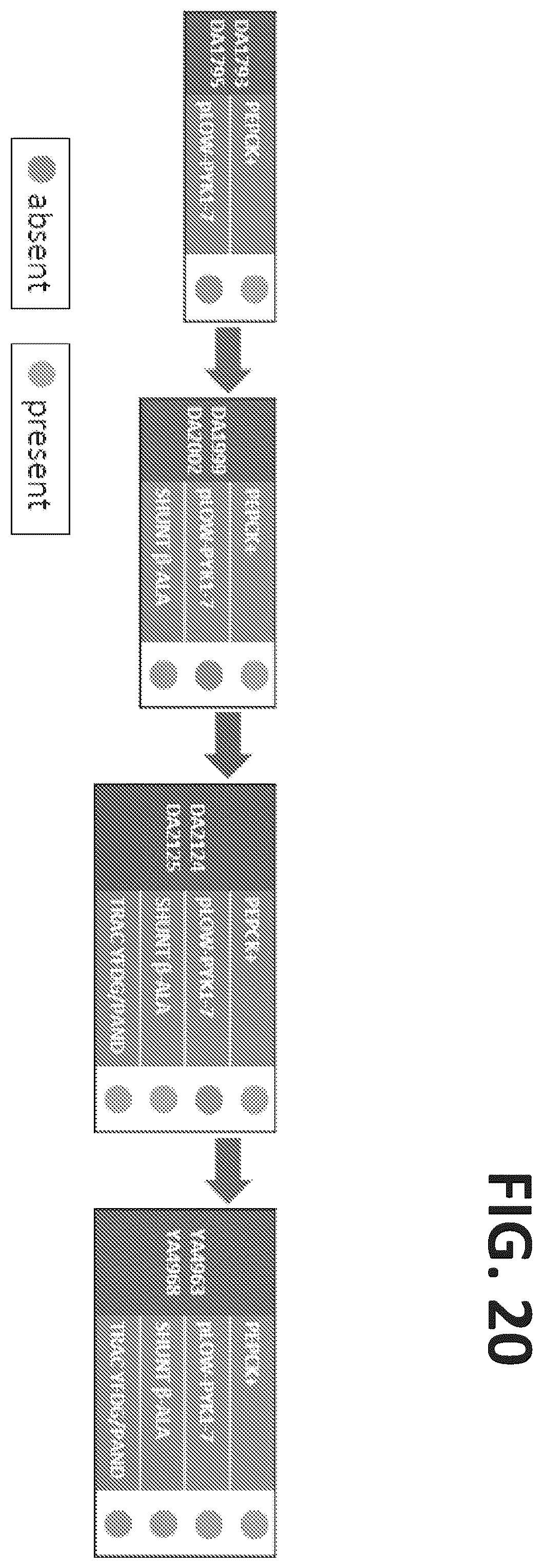 Patent US12378580 Figure 20 – Co-production pathway for 3-HPA and acetyl-CoA derivatives from malonate semialdehyde