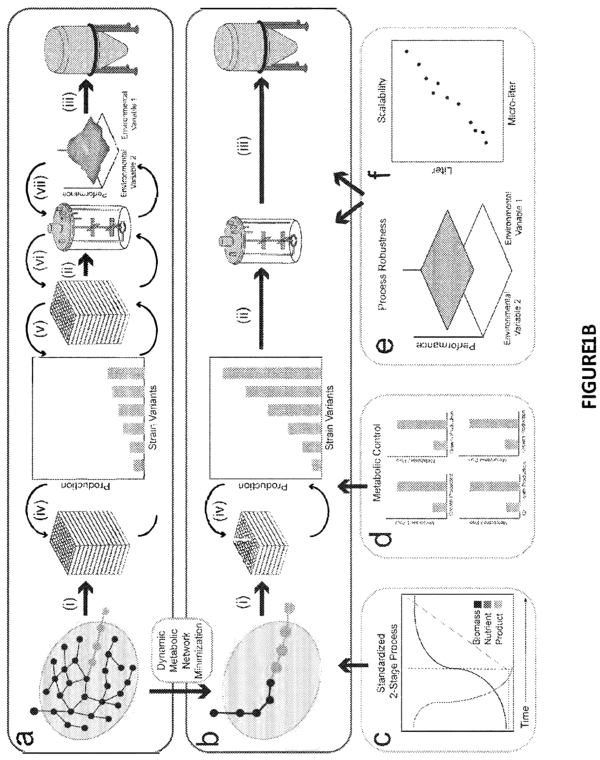 Patent US12378581 Figure 2 – Compositions and methods for metabolic control of a biofermentation process with synthetic metabolic valves