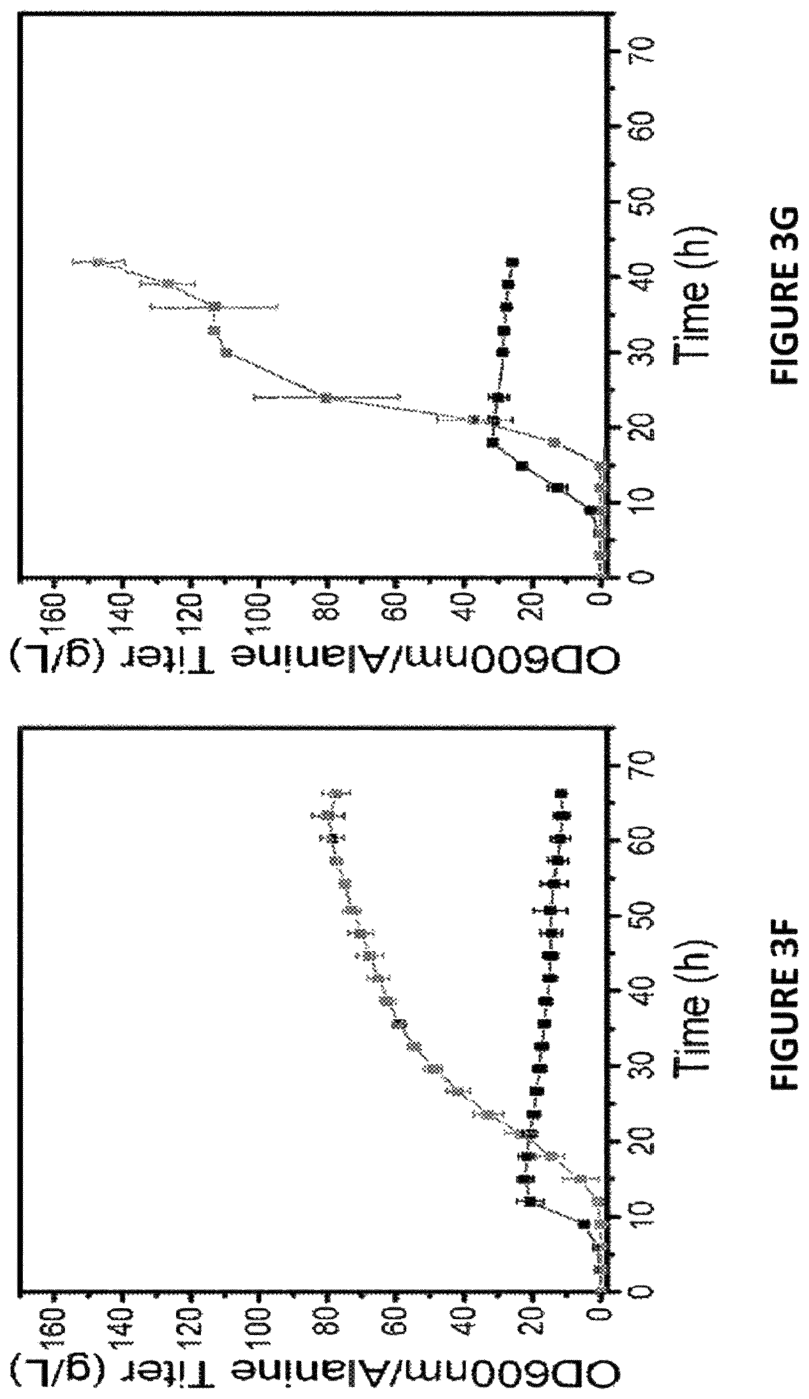 Patent US12378581 Figure 12 – Compositions and methods for metabolic control of a biofermentation process with synthetic metabolic valves