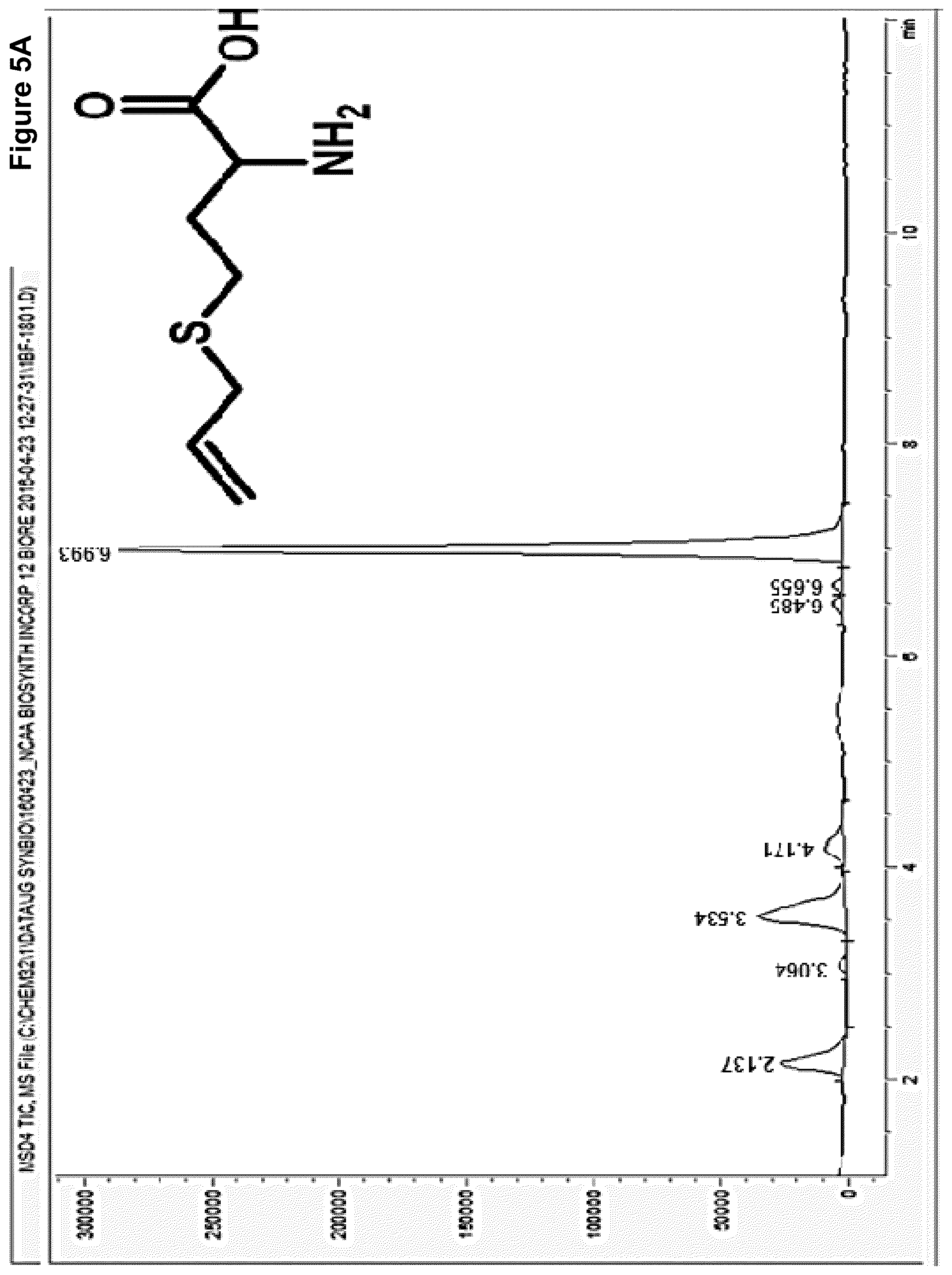 Patent US12378584 Figure 4 – Methionine analogue synthesis