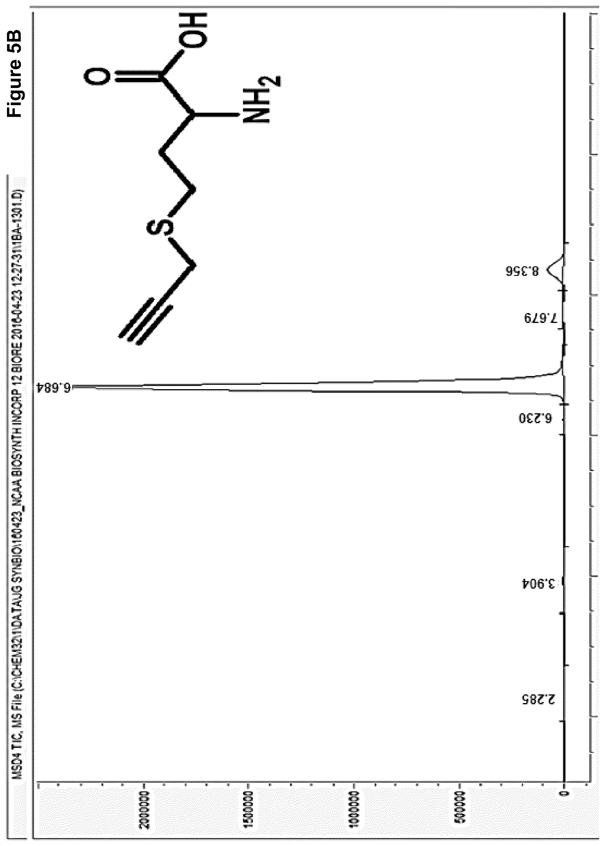 Patent US12378584 Figure 5 – Methionine analogue synthesis