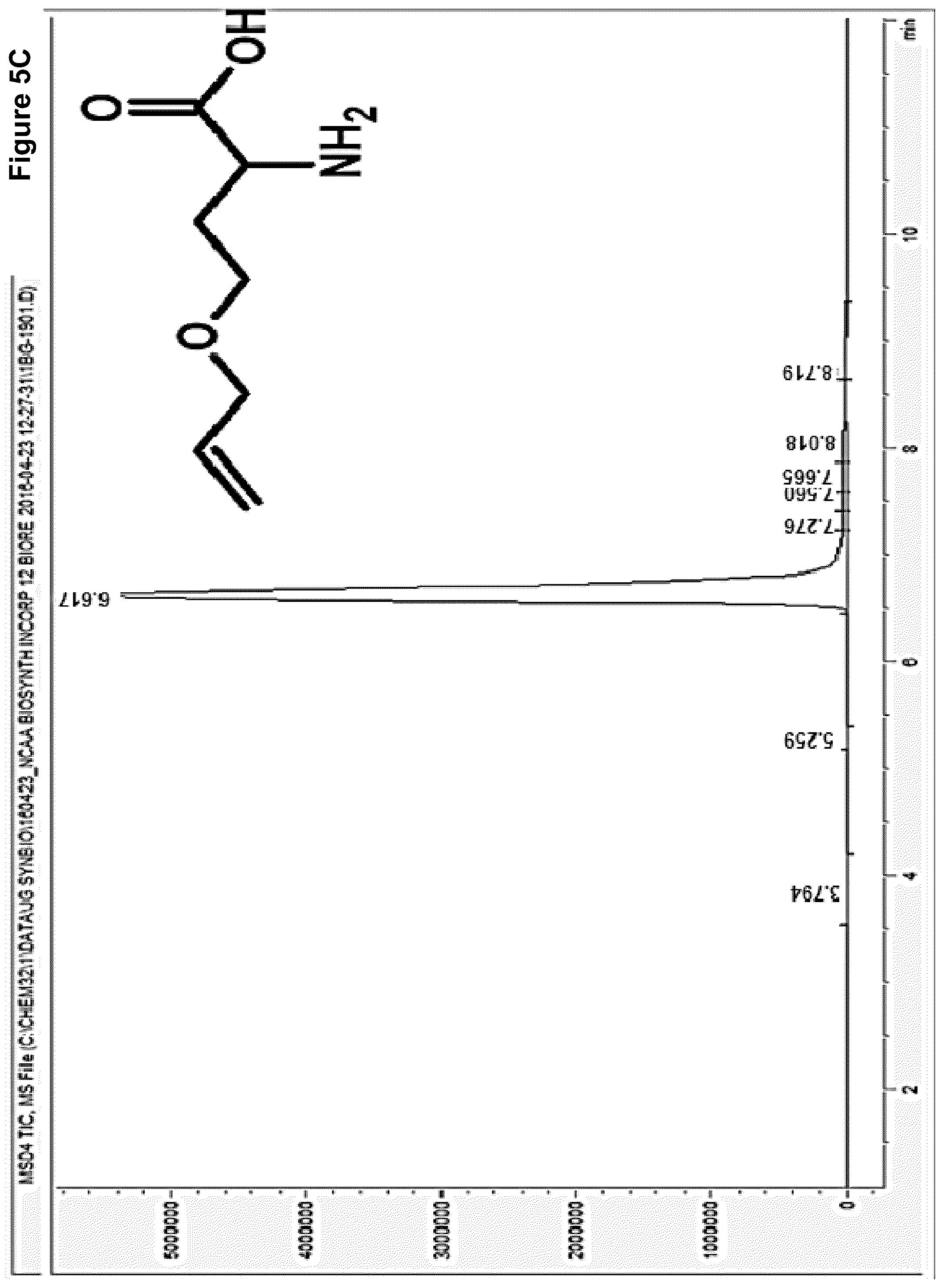 Patent US12378584 Figure 6 – Methionine analogue synthesis