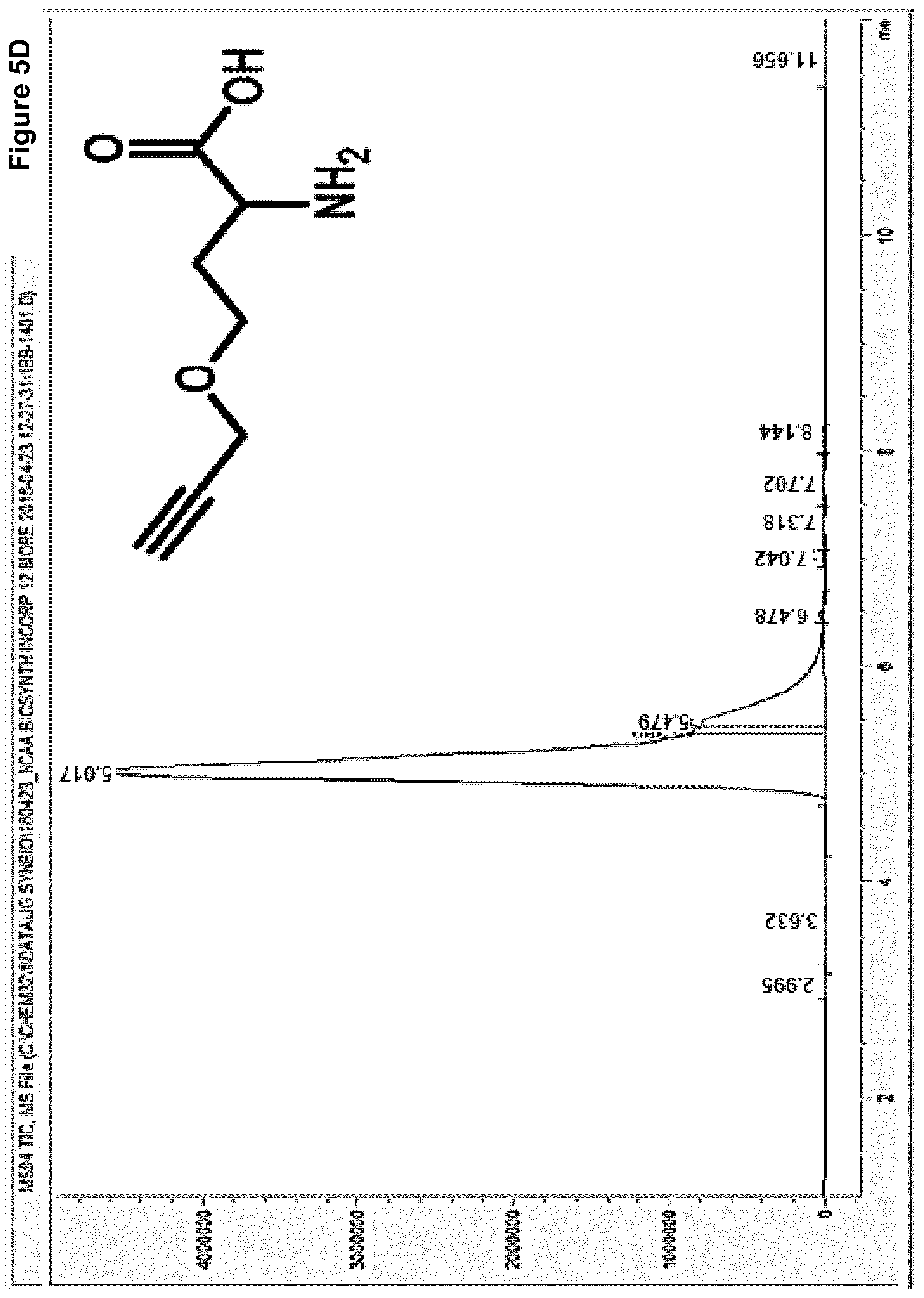 Patent US12378584 Figure 7 – Methionine analogue synthesis