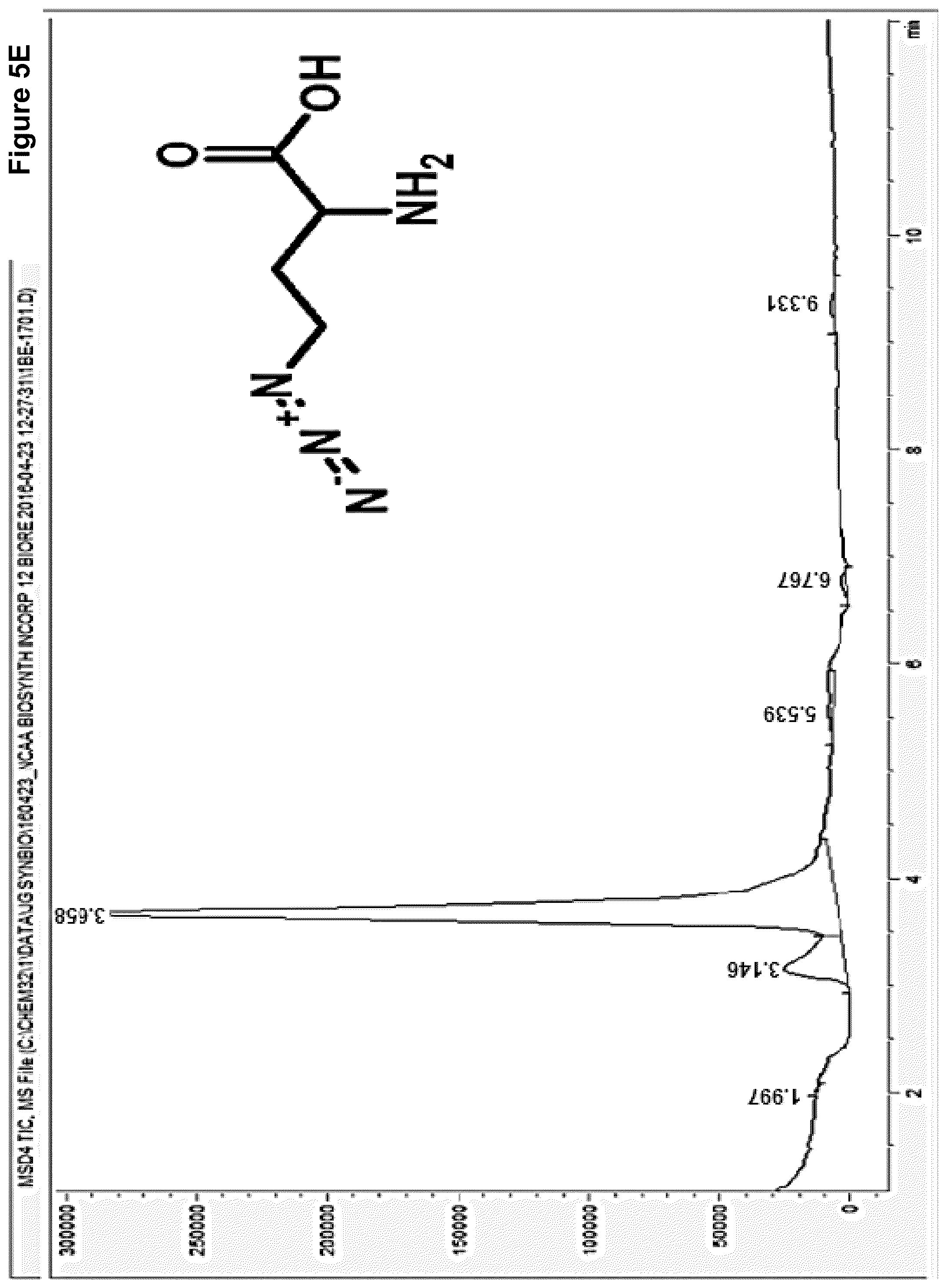 Patent US12378584 Figure 8 – Methionine analogue synthesis