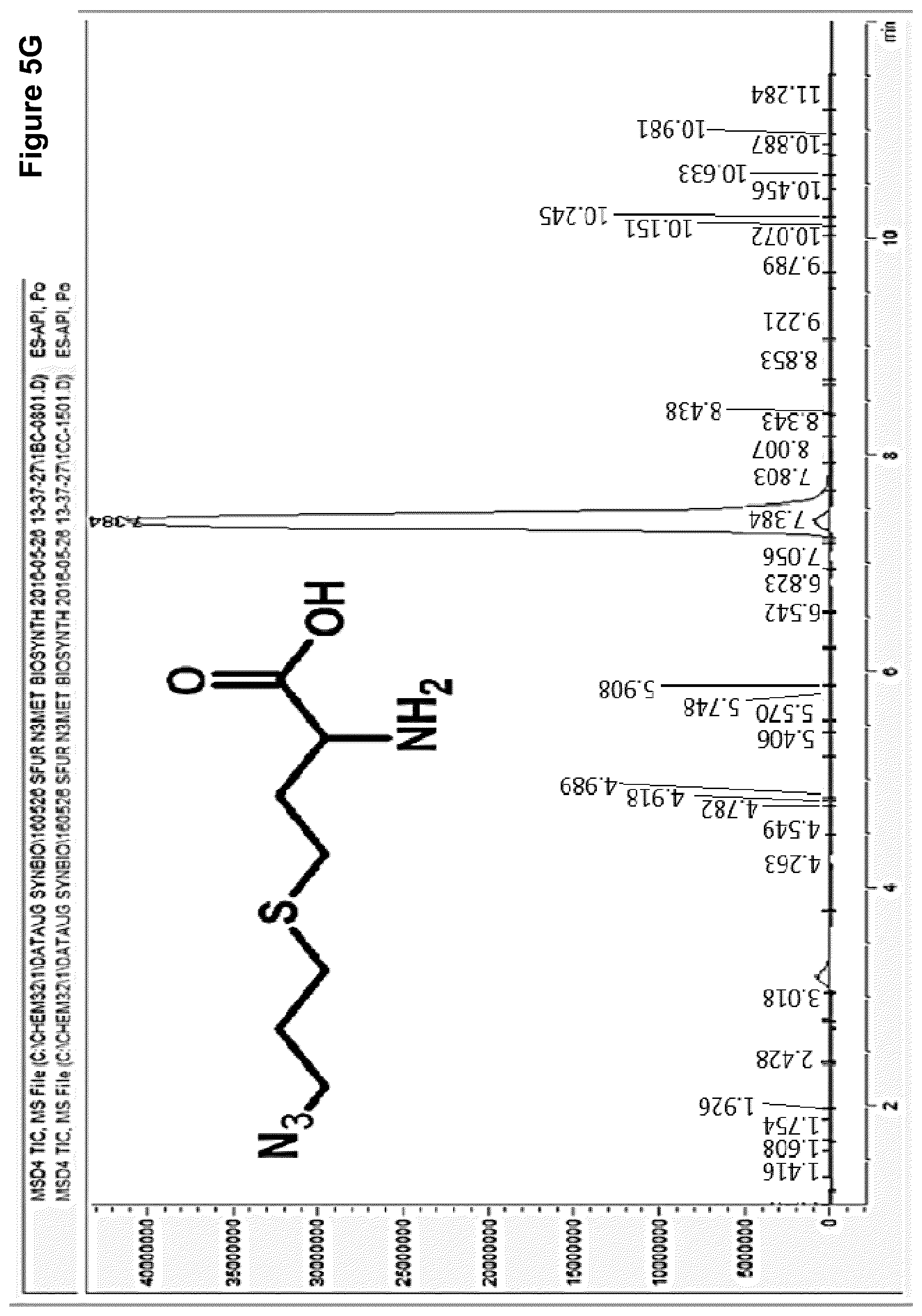 Patent US12378584 Figure 10 – Methionine analogue synthesis