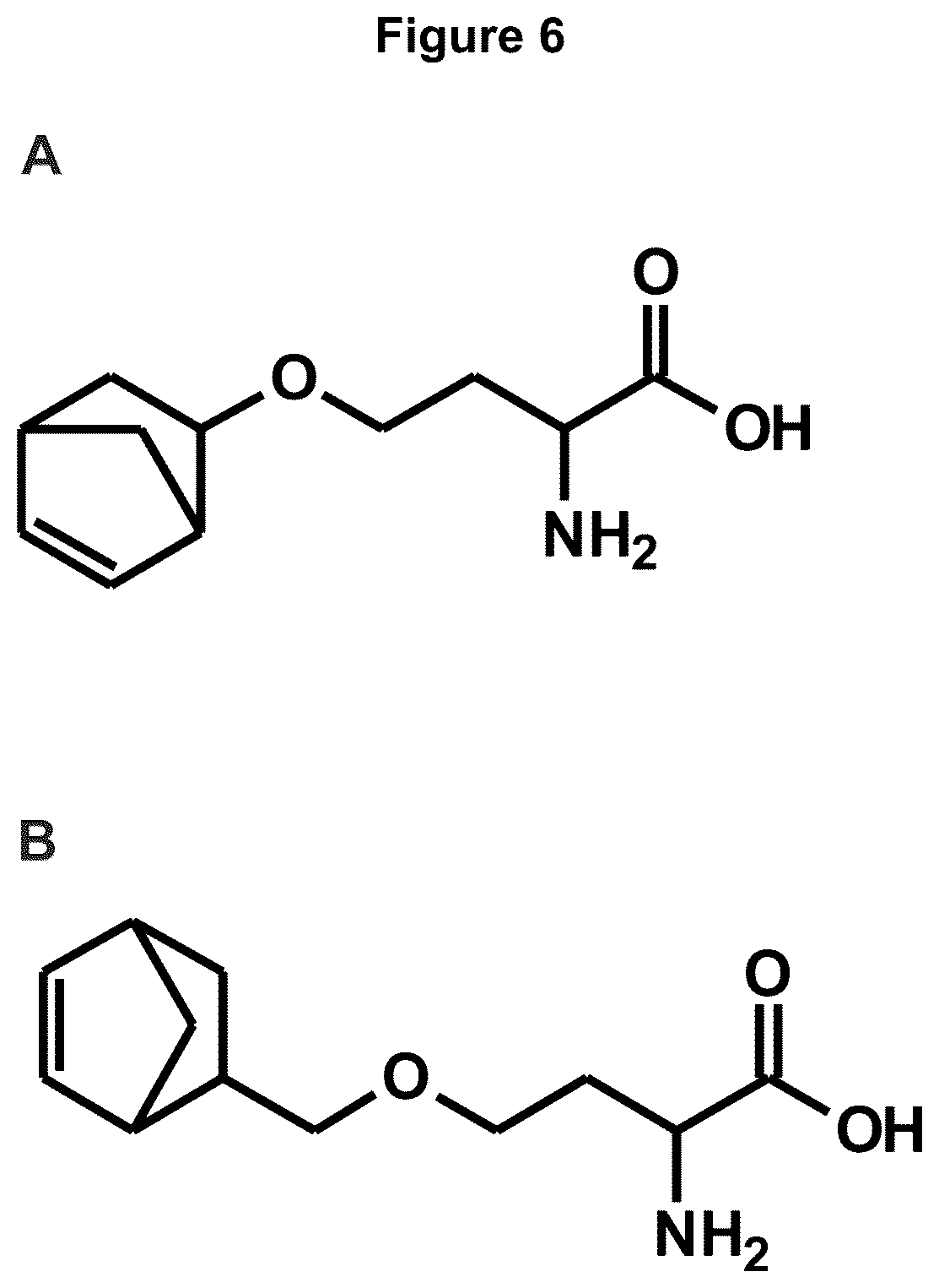 Patent US12378584 Figure 11 – Methionine analogue synthesis