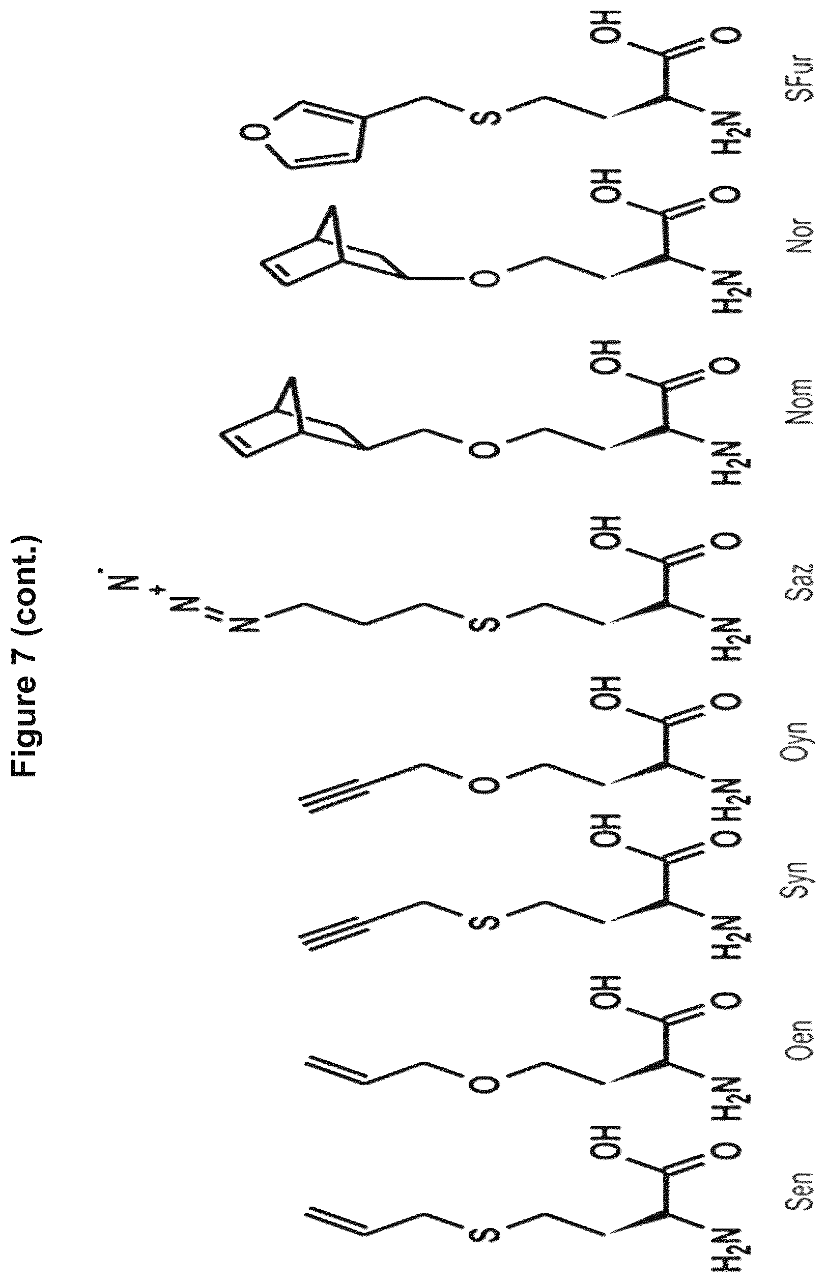 Patent US12378584 Figure 13 – Methionine analogue synthesis