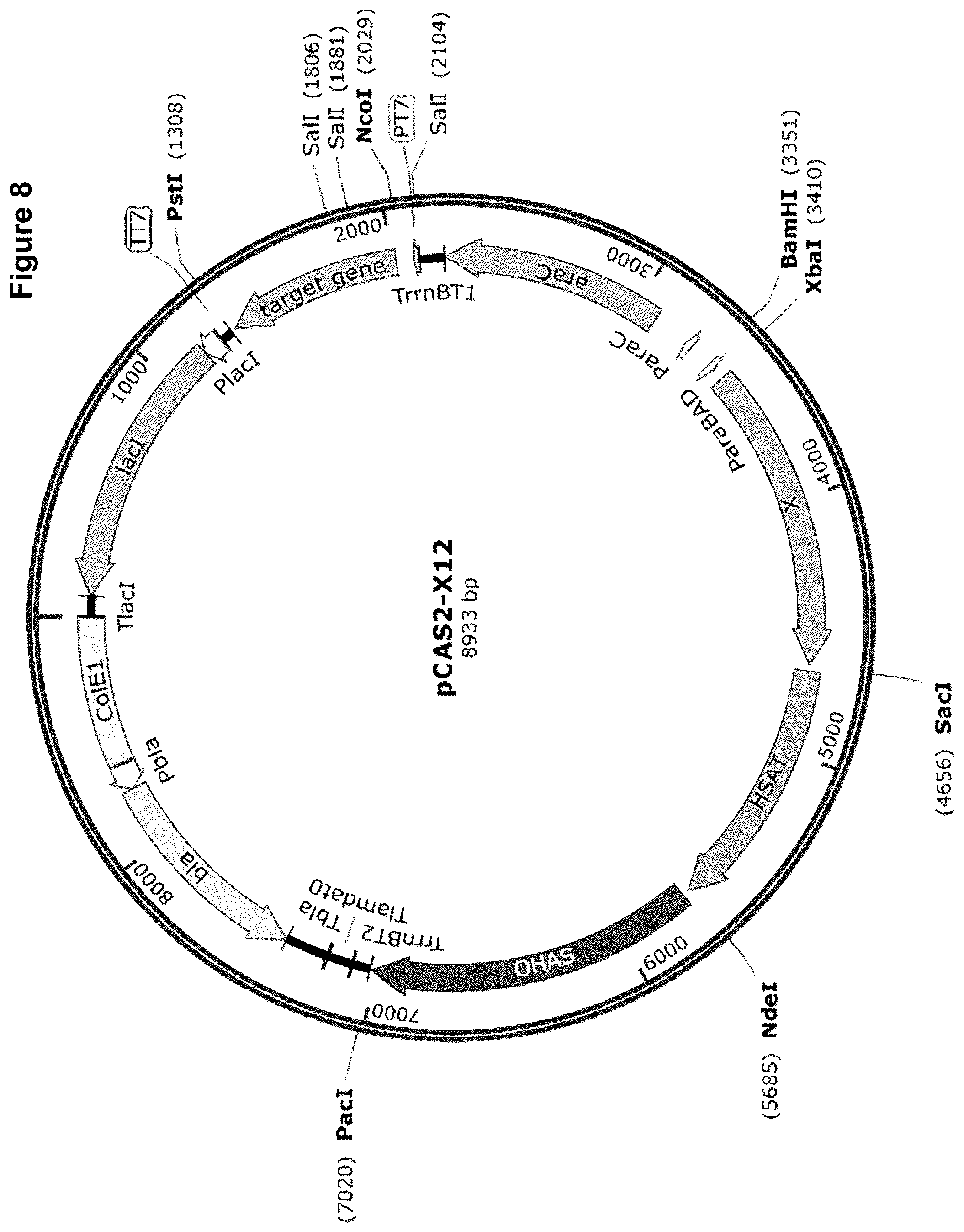 Patent US12378584 Figure 14 – Methionine analogue synthesis
