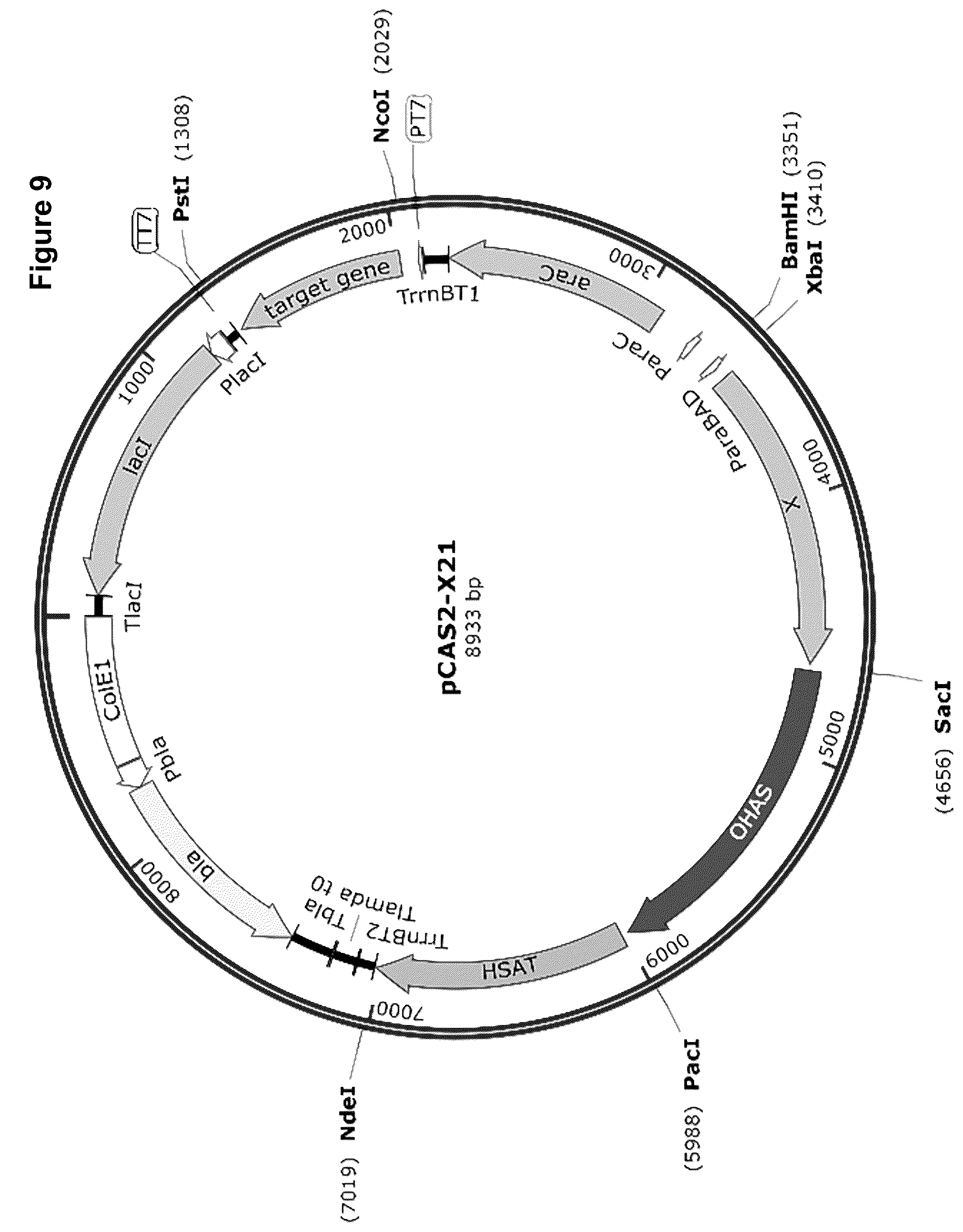 Patent US12378584 Figure 15 – Methionine analogue synthesis