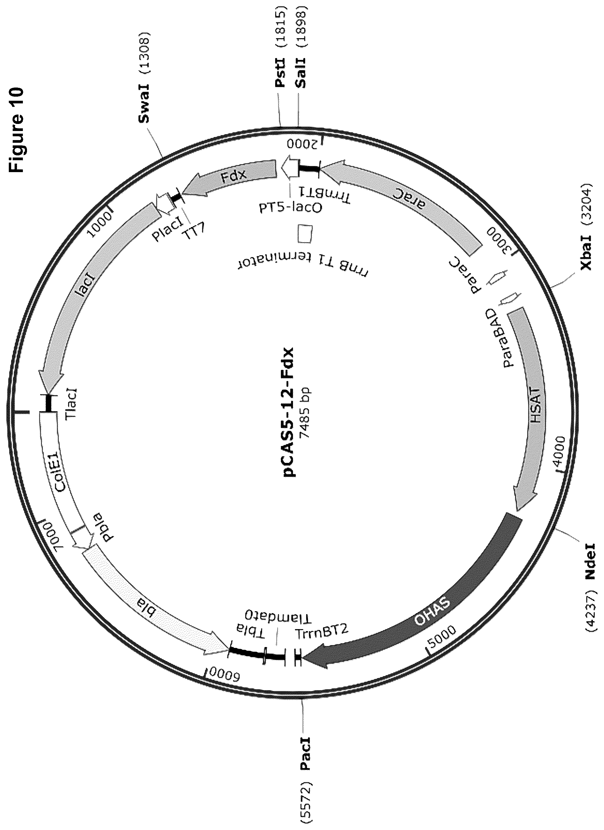 Patent US12378584 Figure 16 – Methionine analogue synthesis