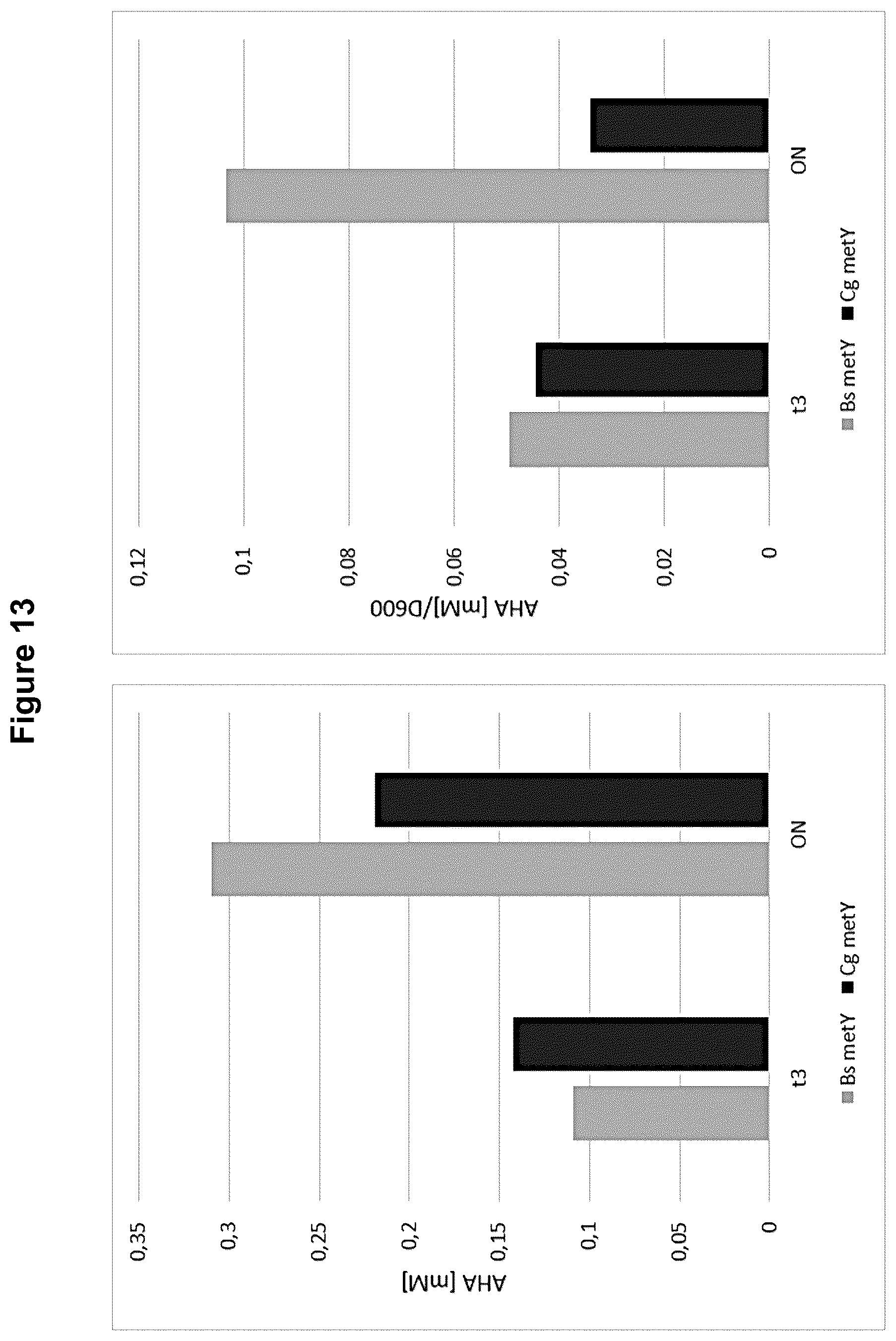 Patent US12378584 Figure 20 – Methionine analogue synthesis
