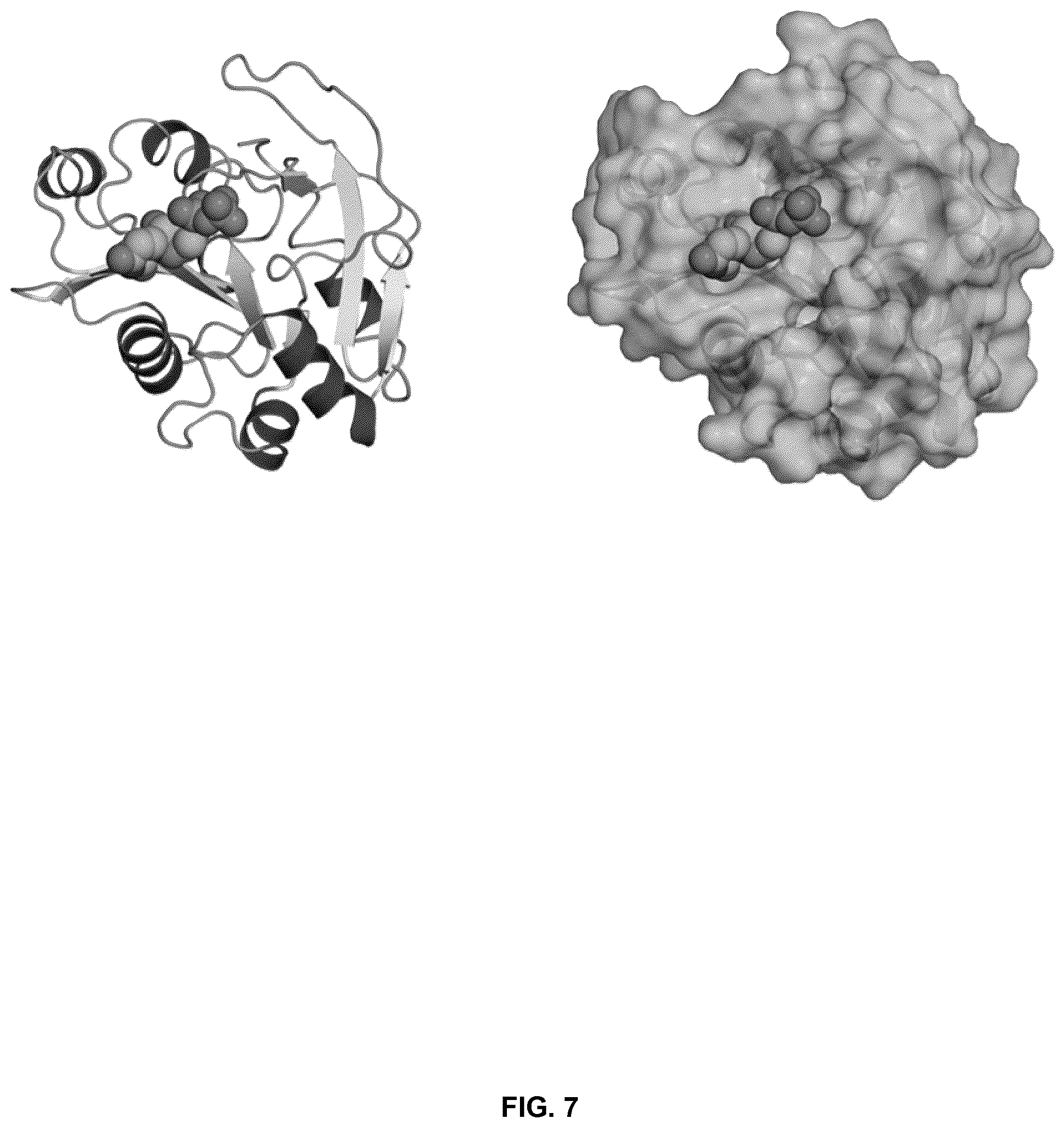Patent US12378586 Figure 7 – Systems, methods, and compositions for the glycosylation of cannabinoid compounds