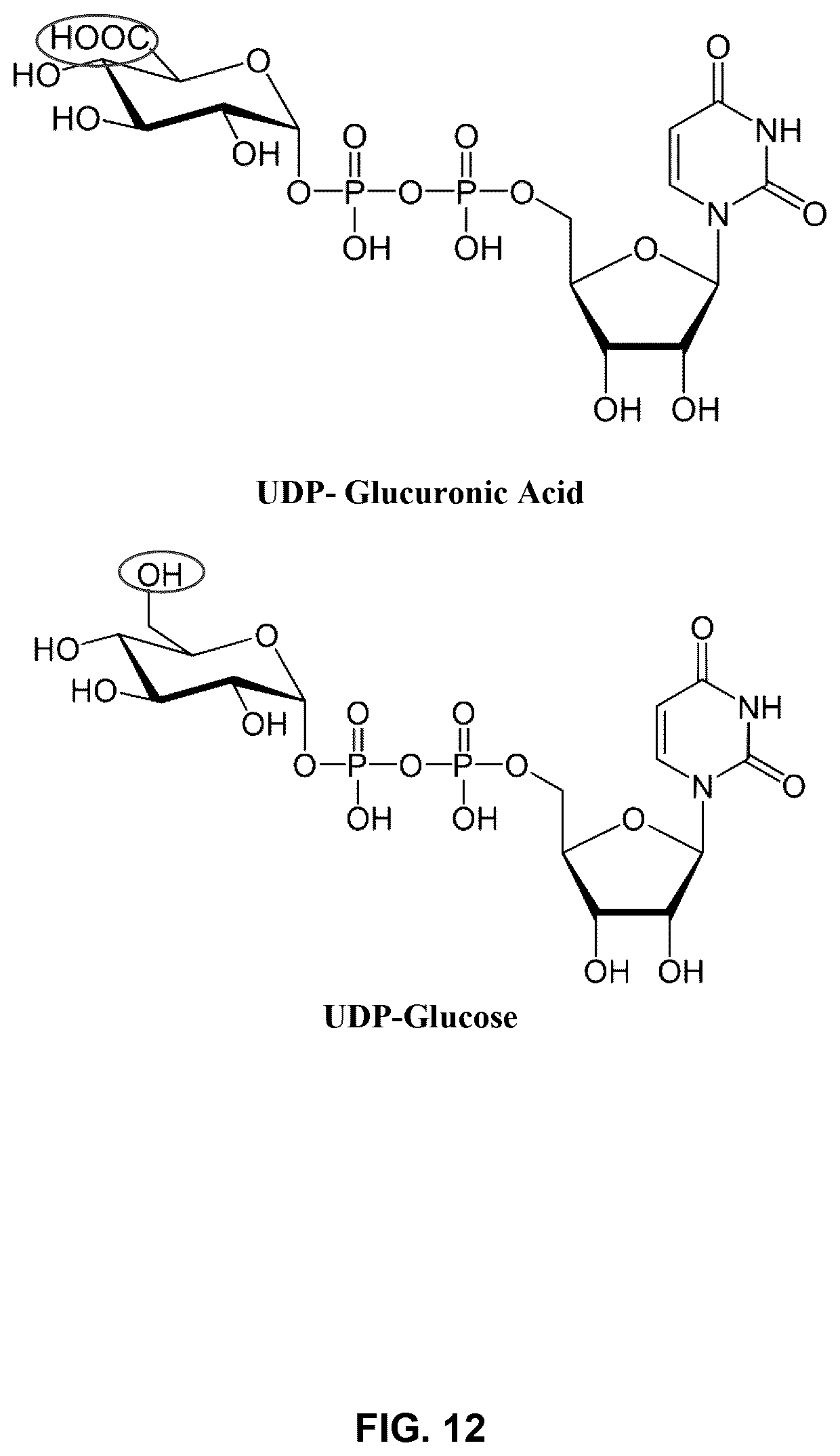 Patent US12378586 Figure 12 – Systems, methods, and compositions for the glycosylation of cannabinoid compounds