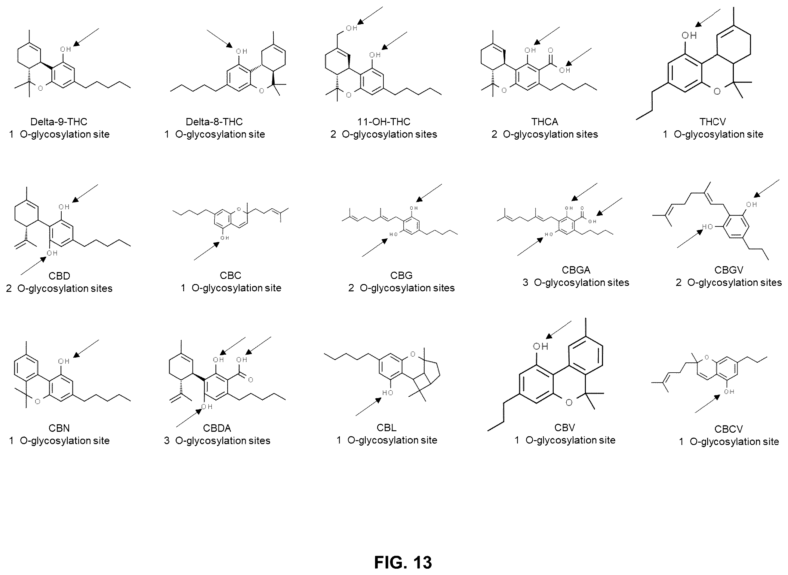 Patent US12378586 Figure 13 – Systems, methods, and compositions for the glycosylation of cannabinoid compounds