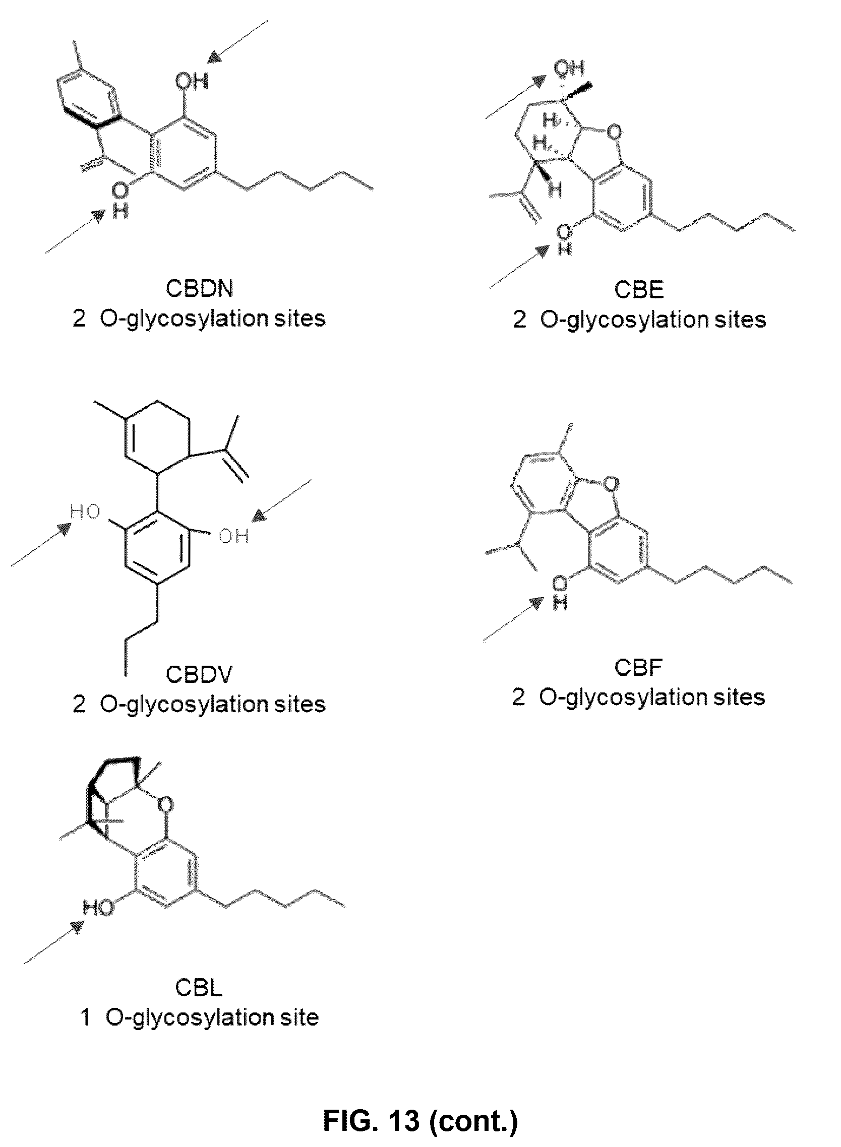Patent US12378586 Figure 14 – Systems, methods, and compositions for the glycosylation of cannabinoid compounds