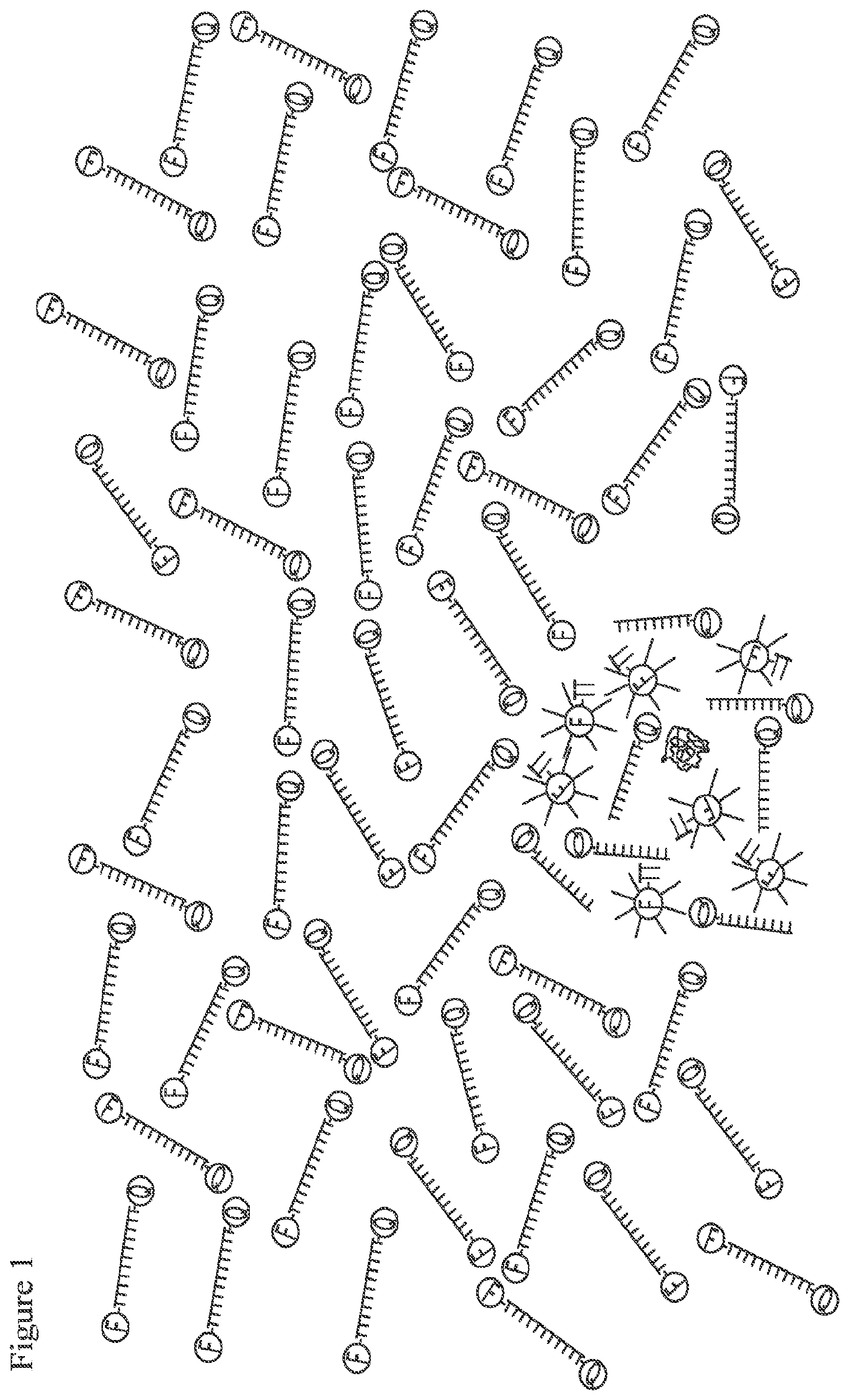 Patent US12378591 Figure 1 – Digital nuclease detection compositions and methods