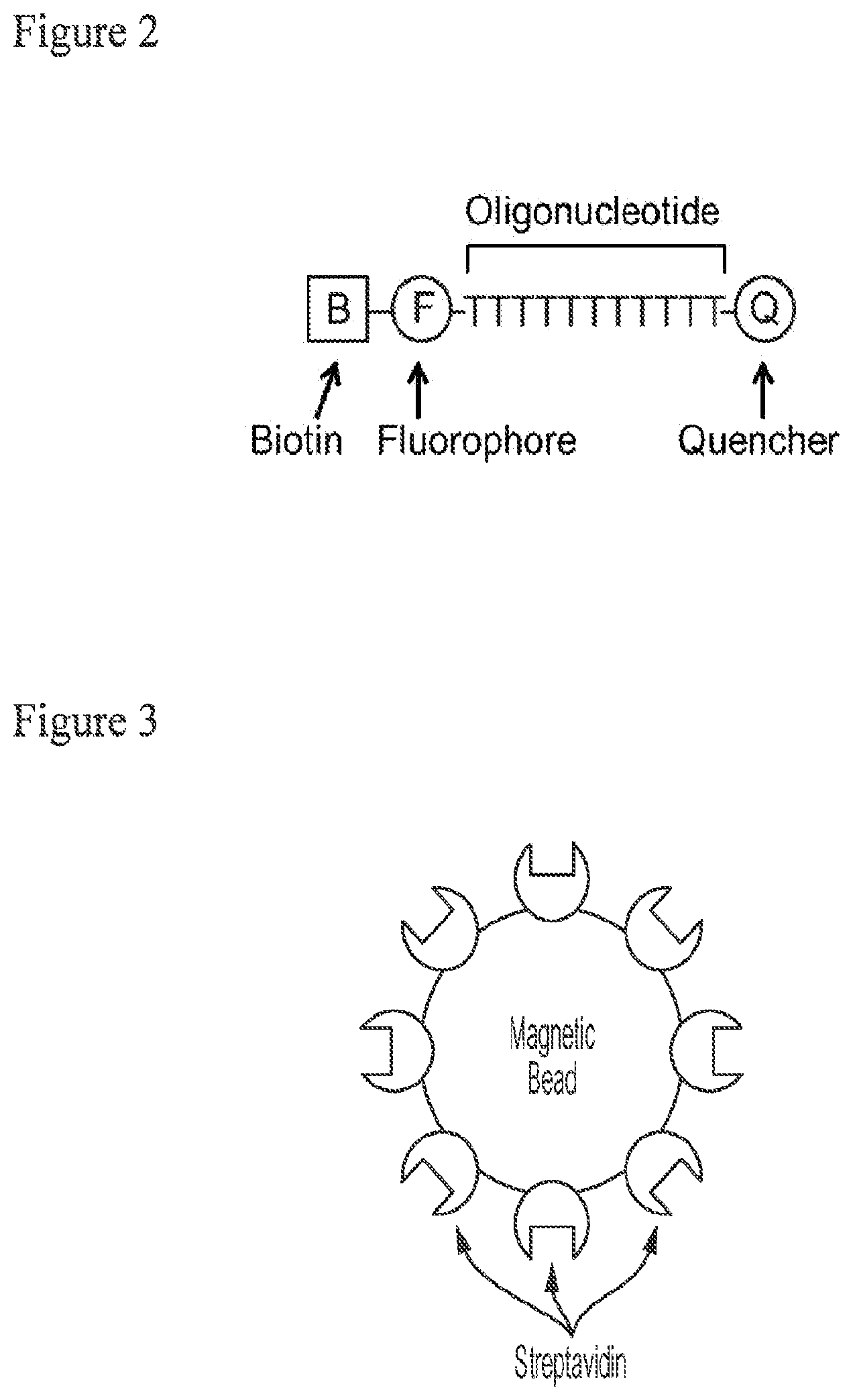 Patent US12378591 Figure 2 – Digital nuclease detection compositions and methods
