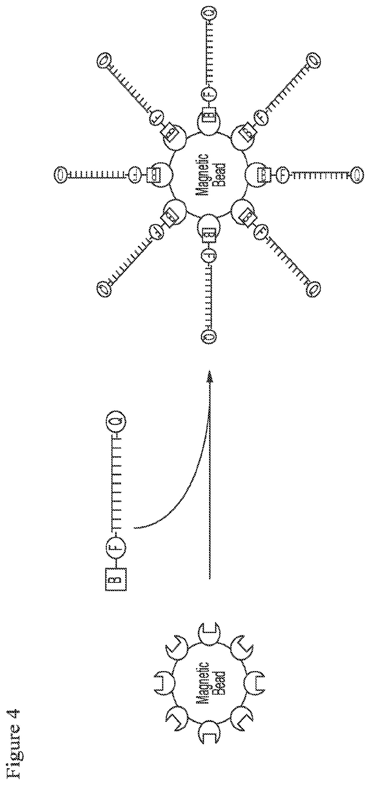 Patent US12378591 Figure 3 – Digital nuclease detection compositions and methods