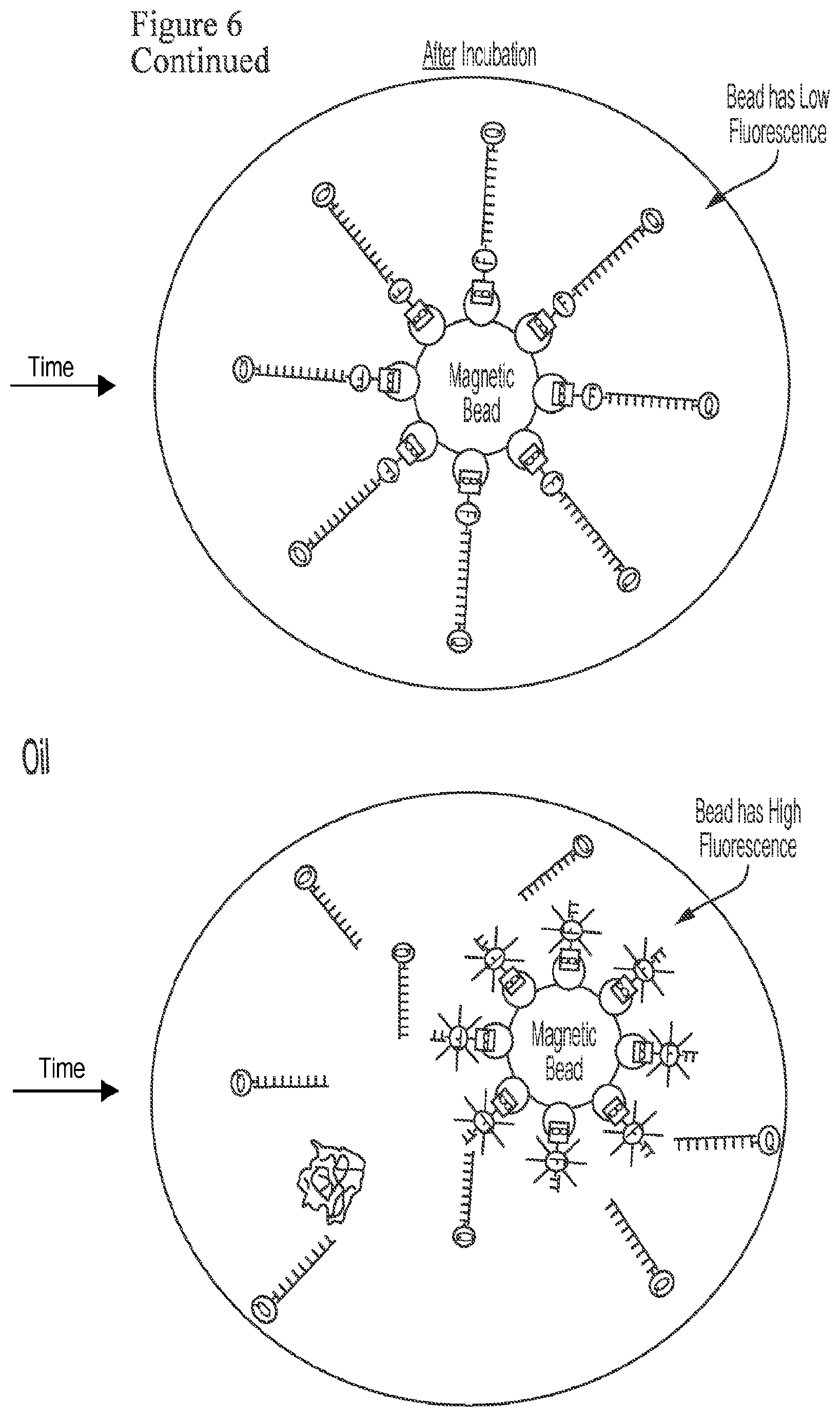 Patent US12378591 Figure 6 – Digital nuclease detection compositions and methods
