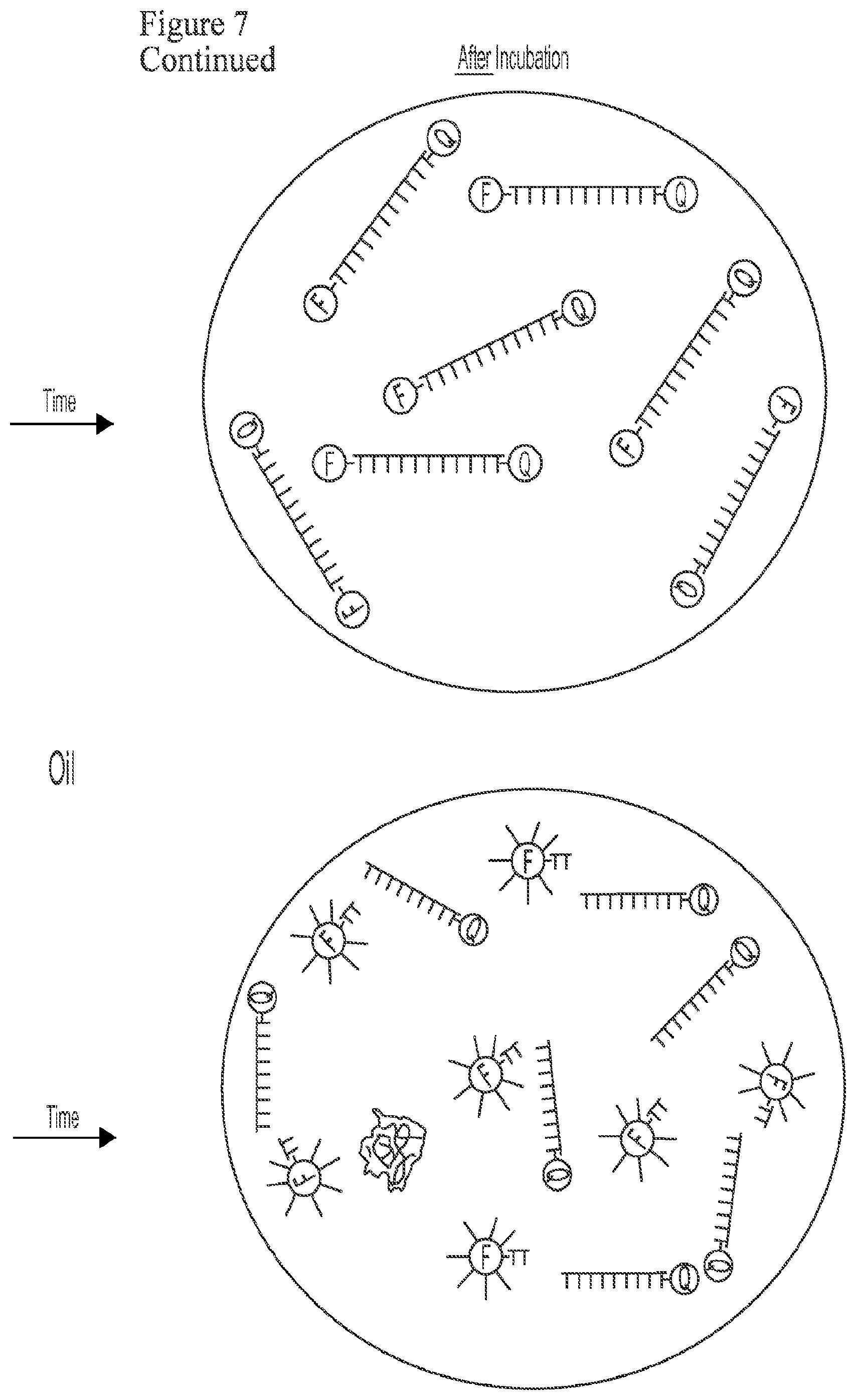 Patent US12378591 Figure 8 – Digital nuclease detection compositions and methods
