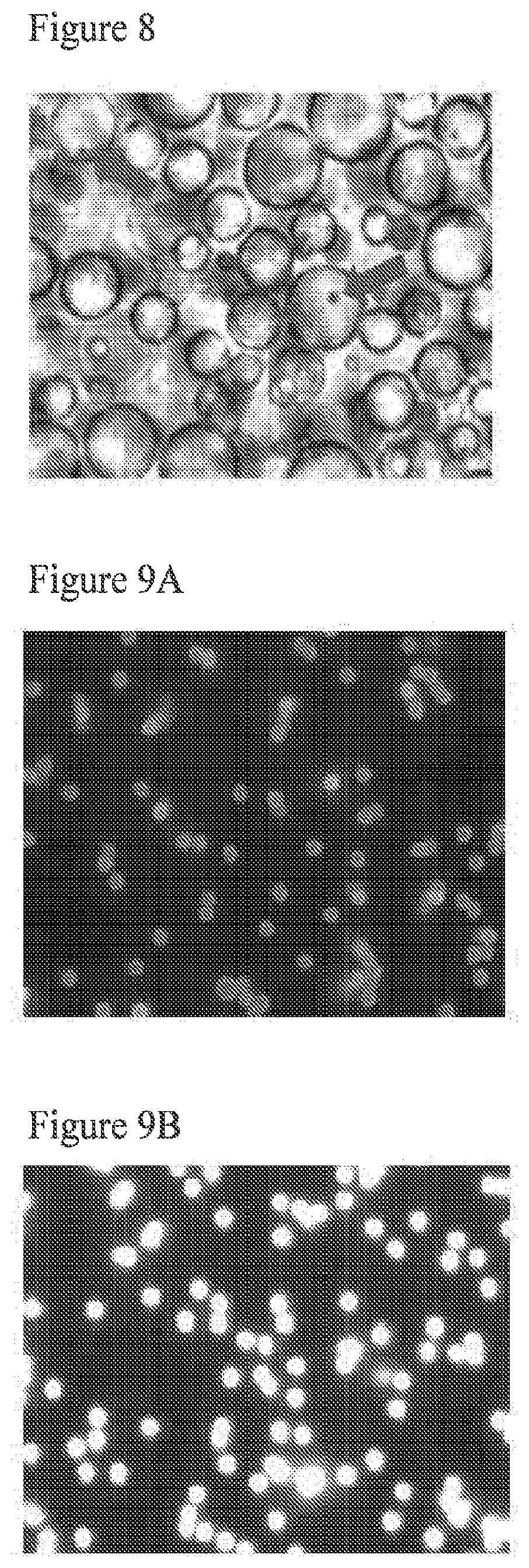 Patent US12378591 Figure 9 – Digital nuclease detection compositions and methods