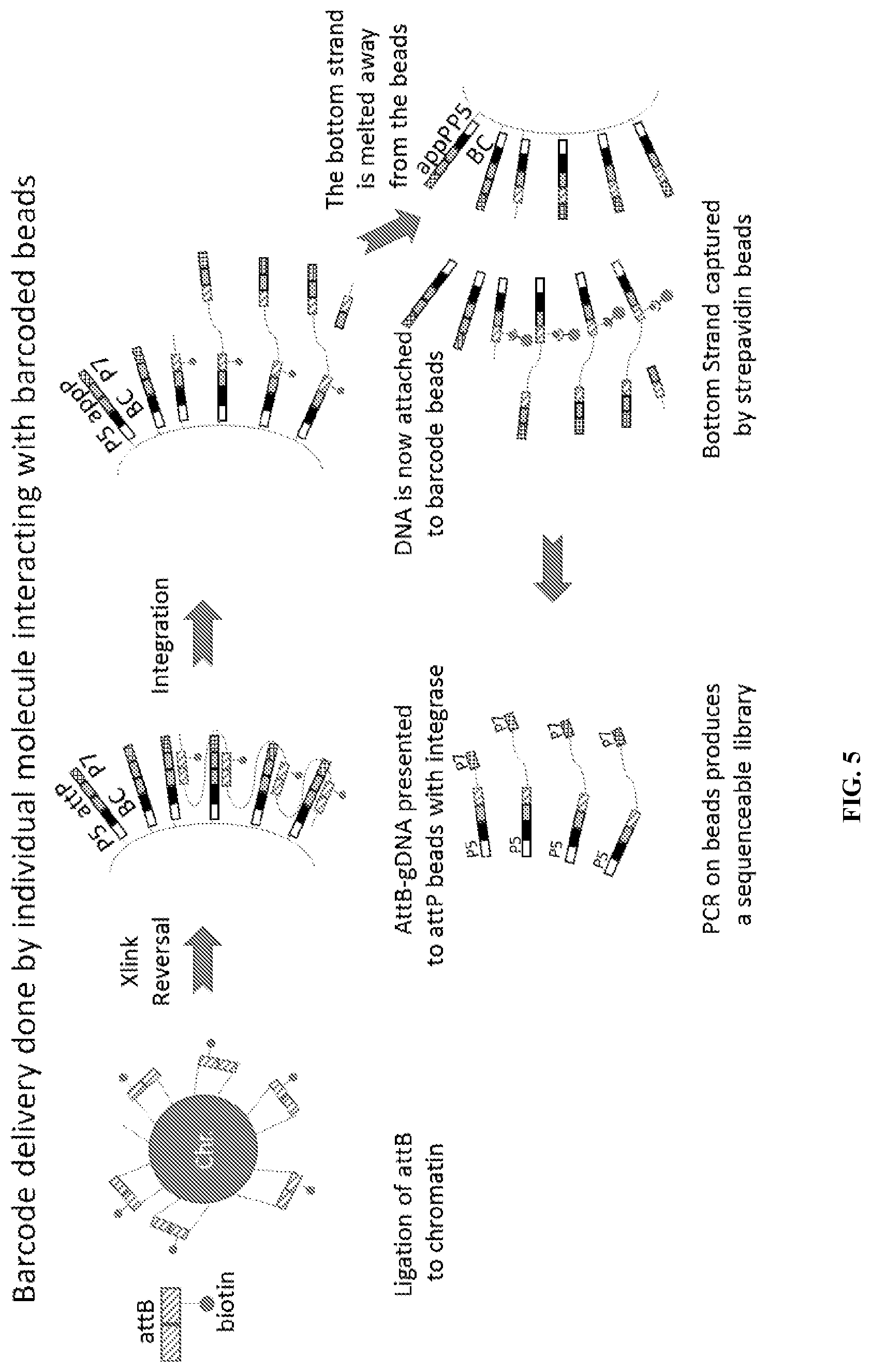 Patent US12378592 Figure 7 – Sample prep for DNA linkage recovery