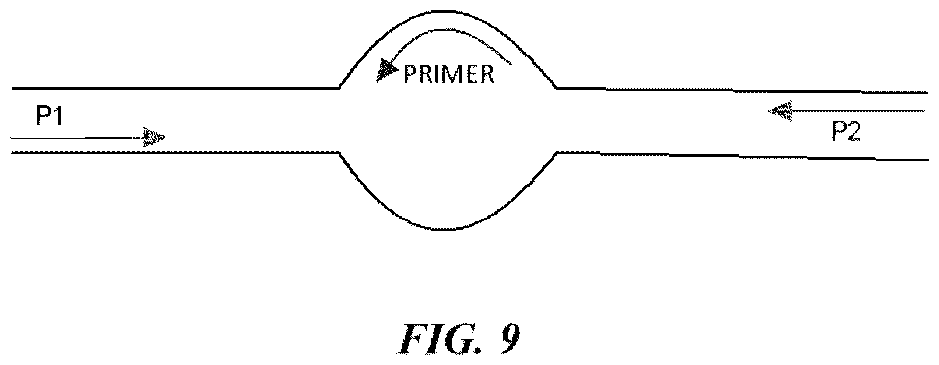 Patent US12378593 Figure 9 – Nucleic acid clonal amplification and sequencing methods, systems, and kits