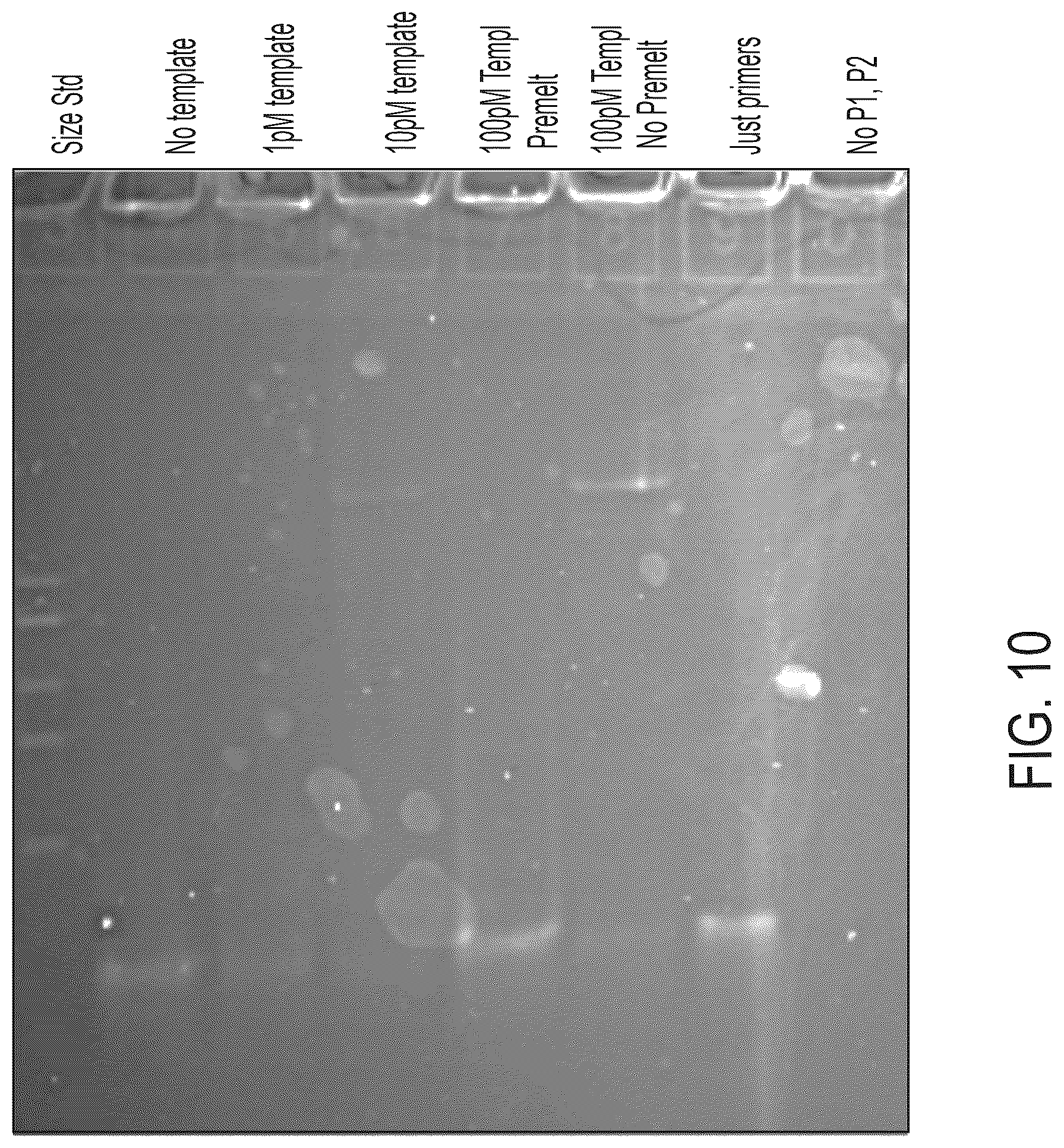 Patent US12378593 Figure 10 – Nucleic acid clonal amplification and sequencing methods, systems, and kits