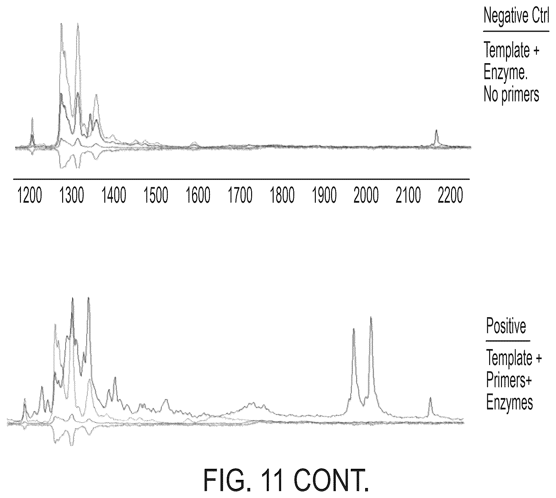 Patent US12378593 Figure 12 – Nucleic acid clonal amplification and sequencing methods, systems, and kits