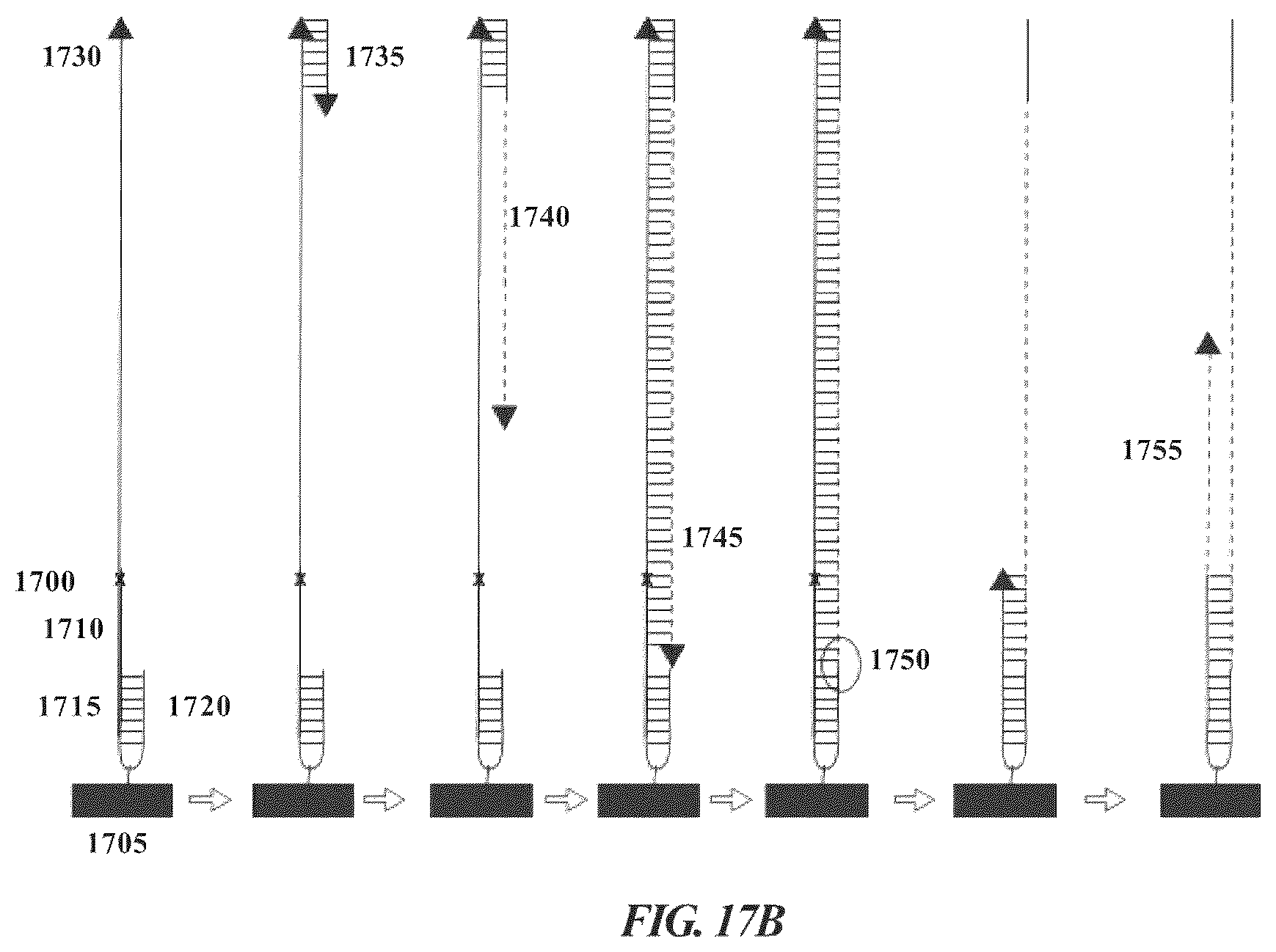 Patent US12378593 Figure 19 – Nucleic acid clonal amplification and sequencing methods, systems, and kits