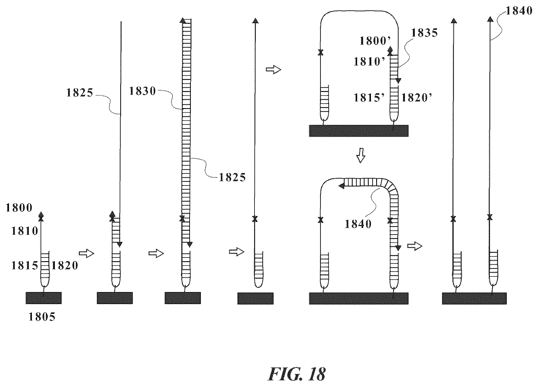 Patent US12378593 Figure 20 – Nucleic acid clonal amplification and sequencing methods, systems, and kits