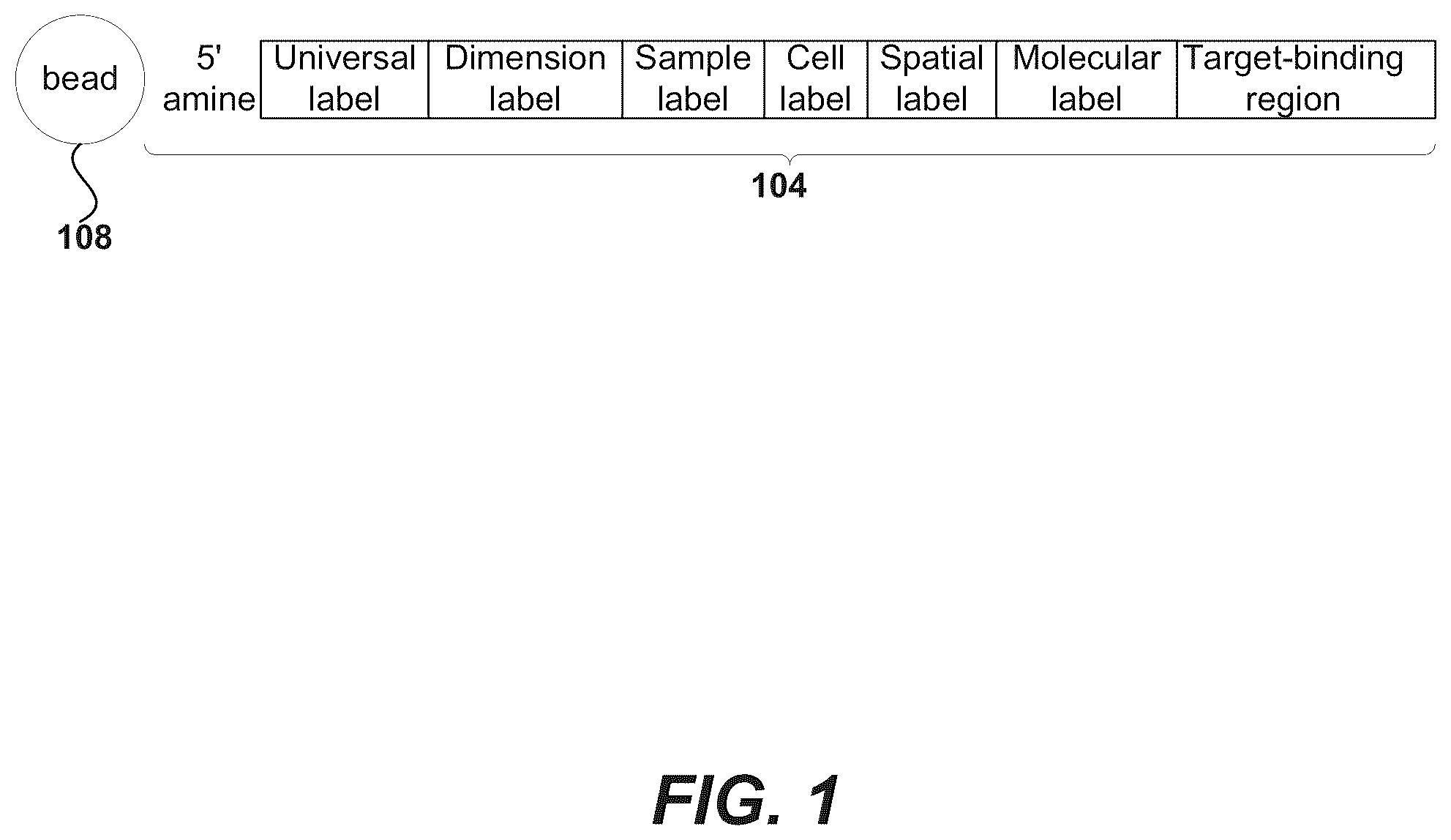 Patent US12378594 Figure 1 – Primers for immune repertoire profiling